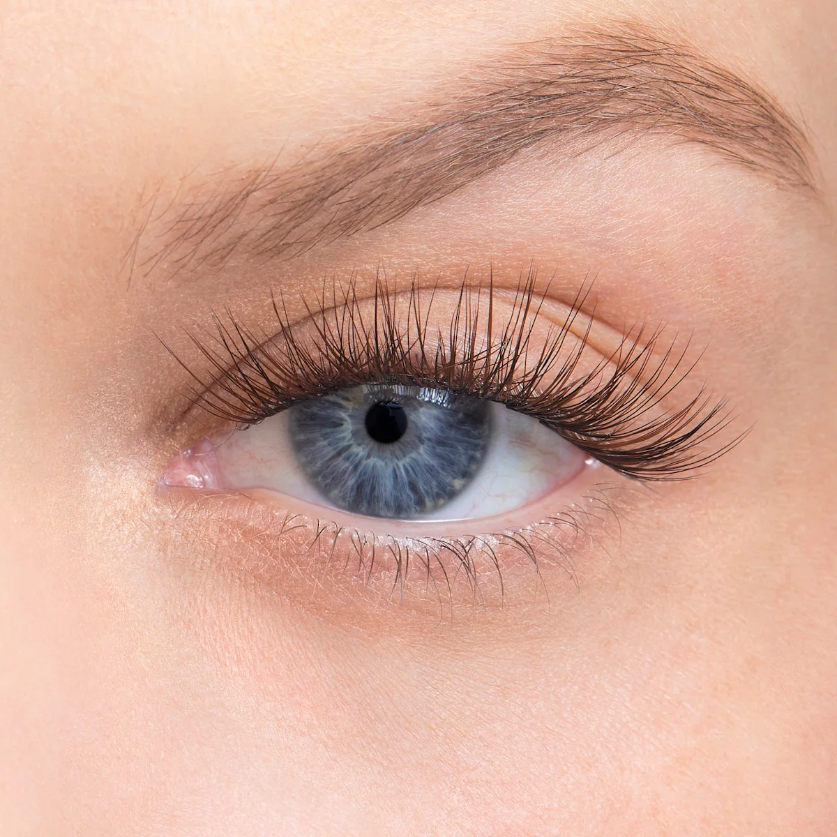 Amplify Core Gossamer® Lash - Image 100