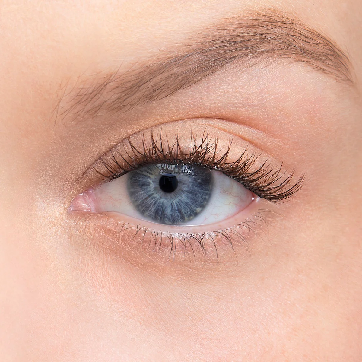 Amplify Core Gossamer® Lash - Image 101
