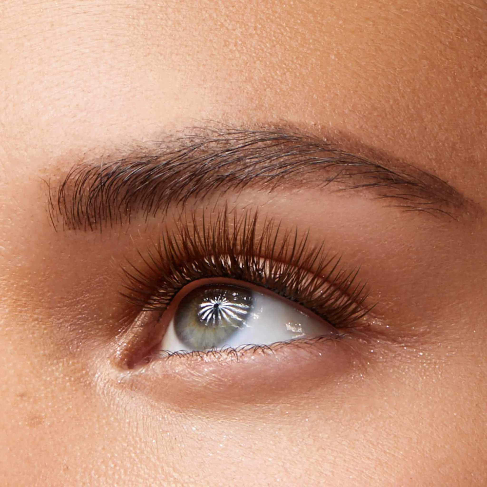 Amplify Core Gossamer® Lash - Image 69