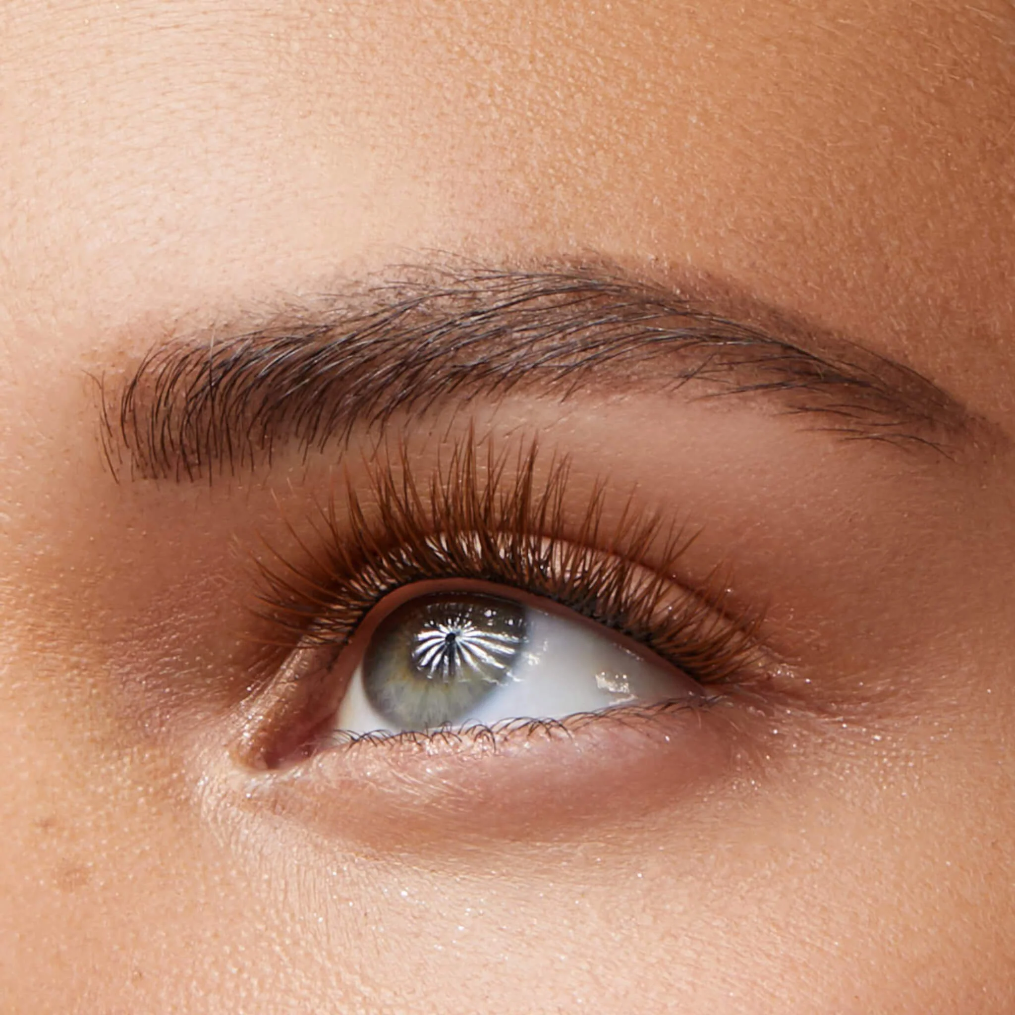 Amplify Core Gossamer® Lash - Image 70