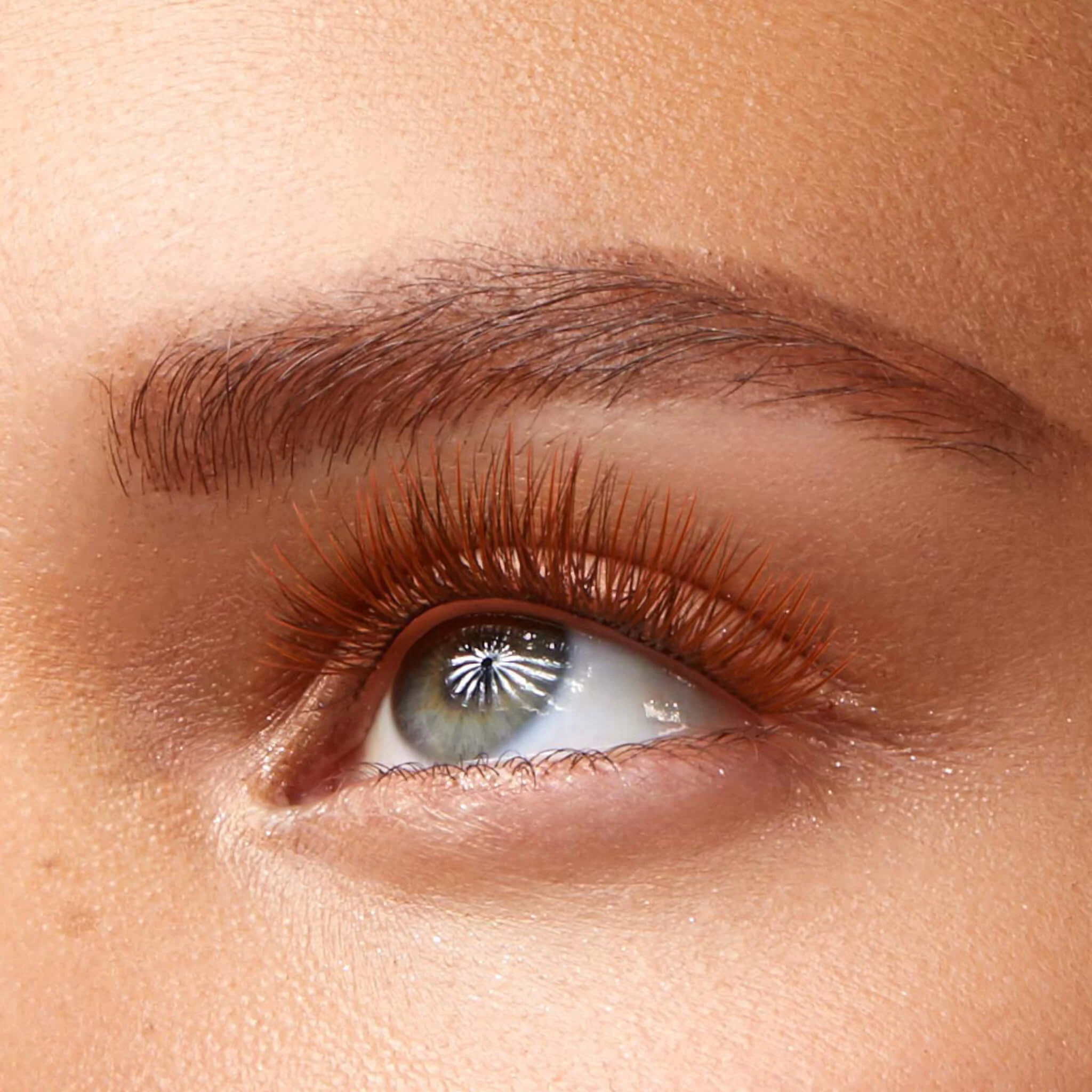 Amplify Core Gossamer® Lash - Image 71