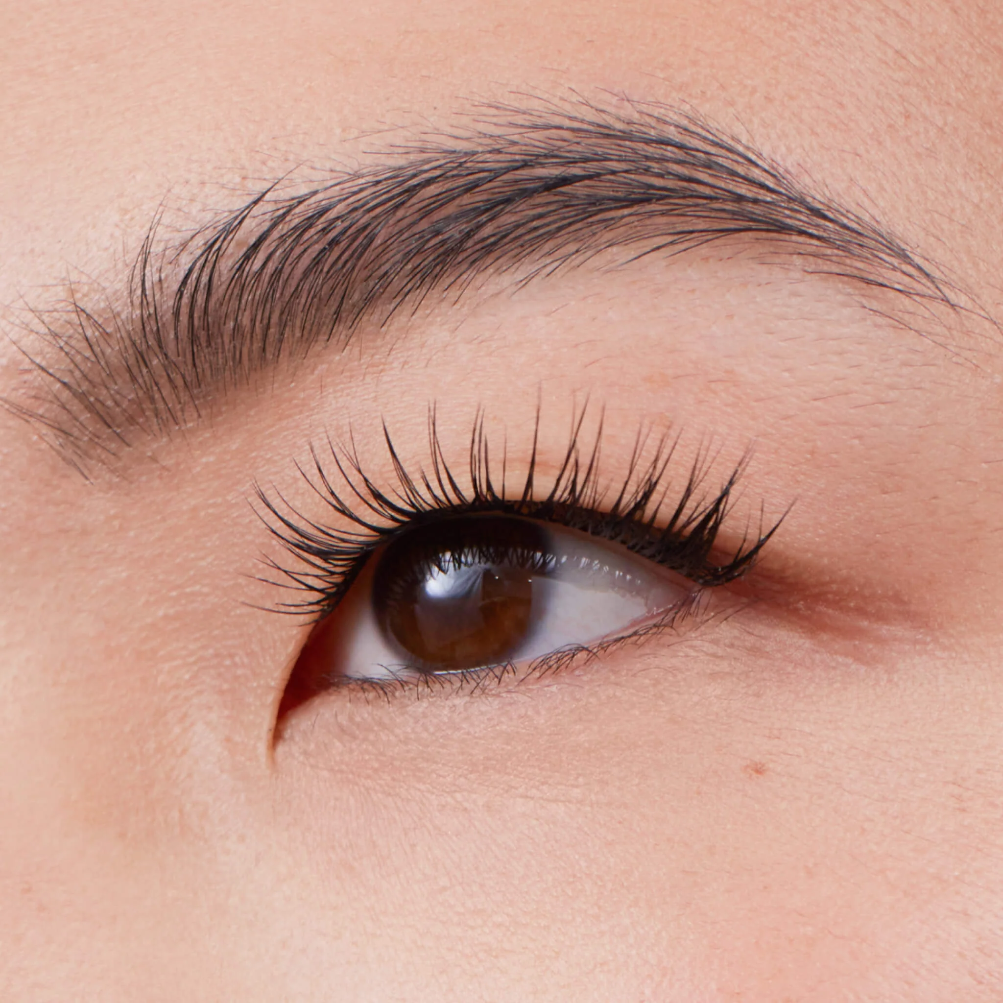 Amplify Core Gossamer® Lash - Image 73