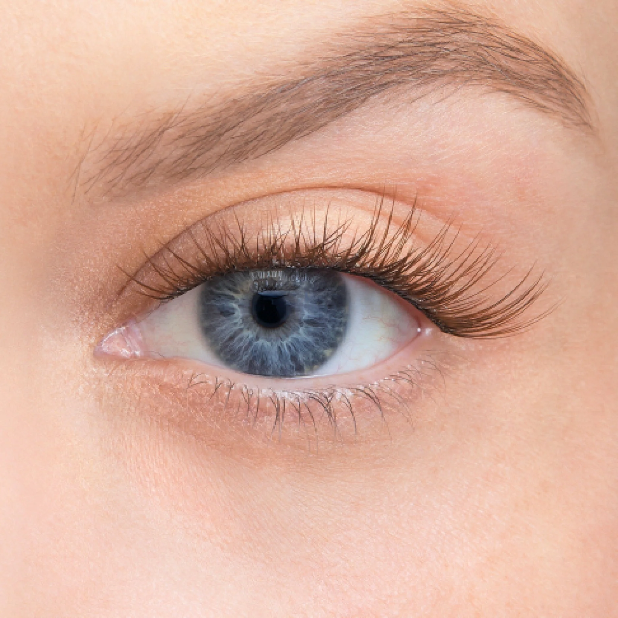 Amplify Core Gossamer® Lash - Image 83