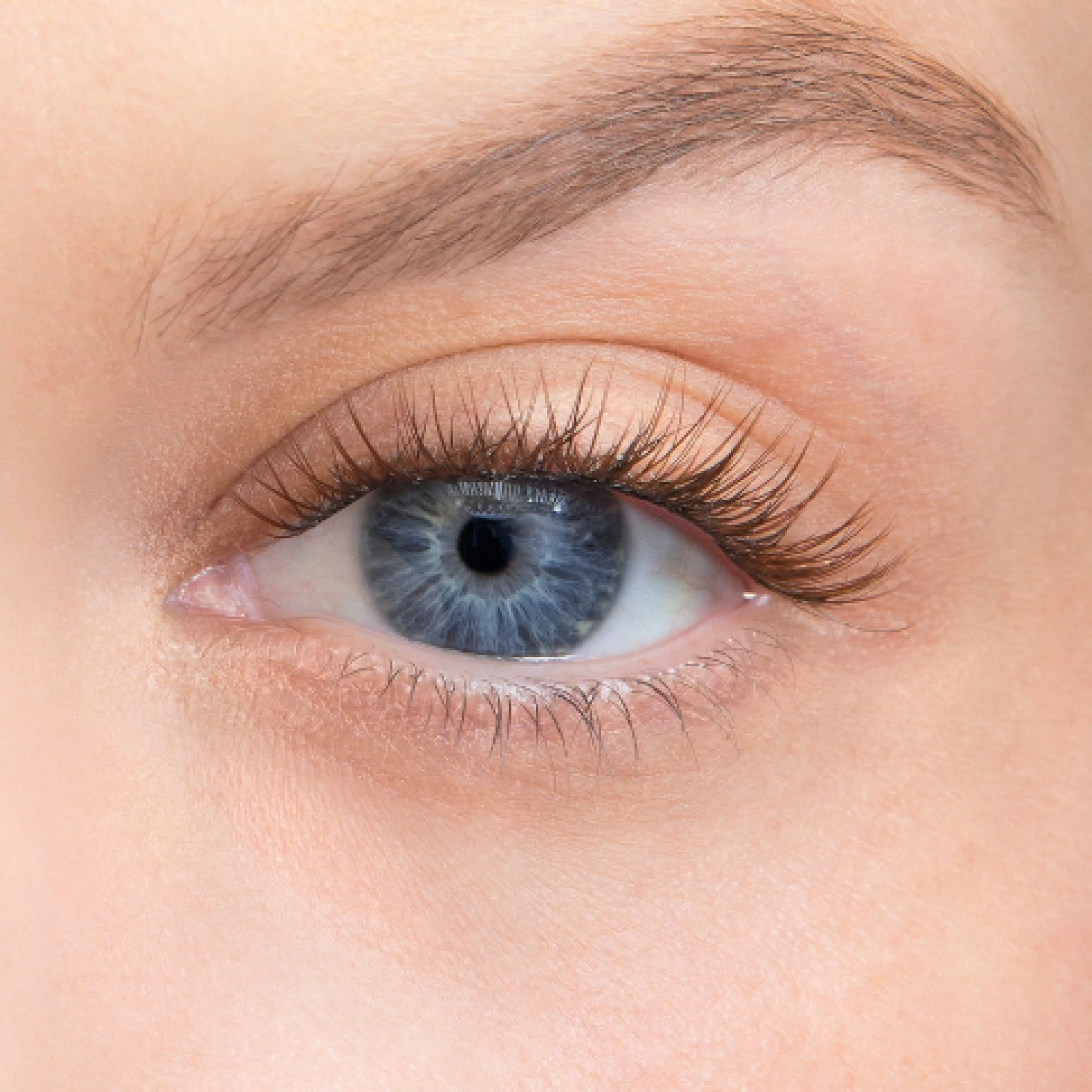 Amplify Core Gossamer® Lash - Image 84