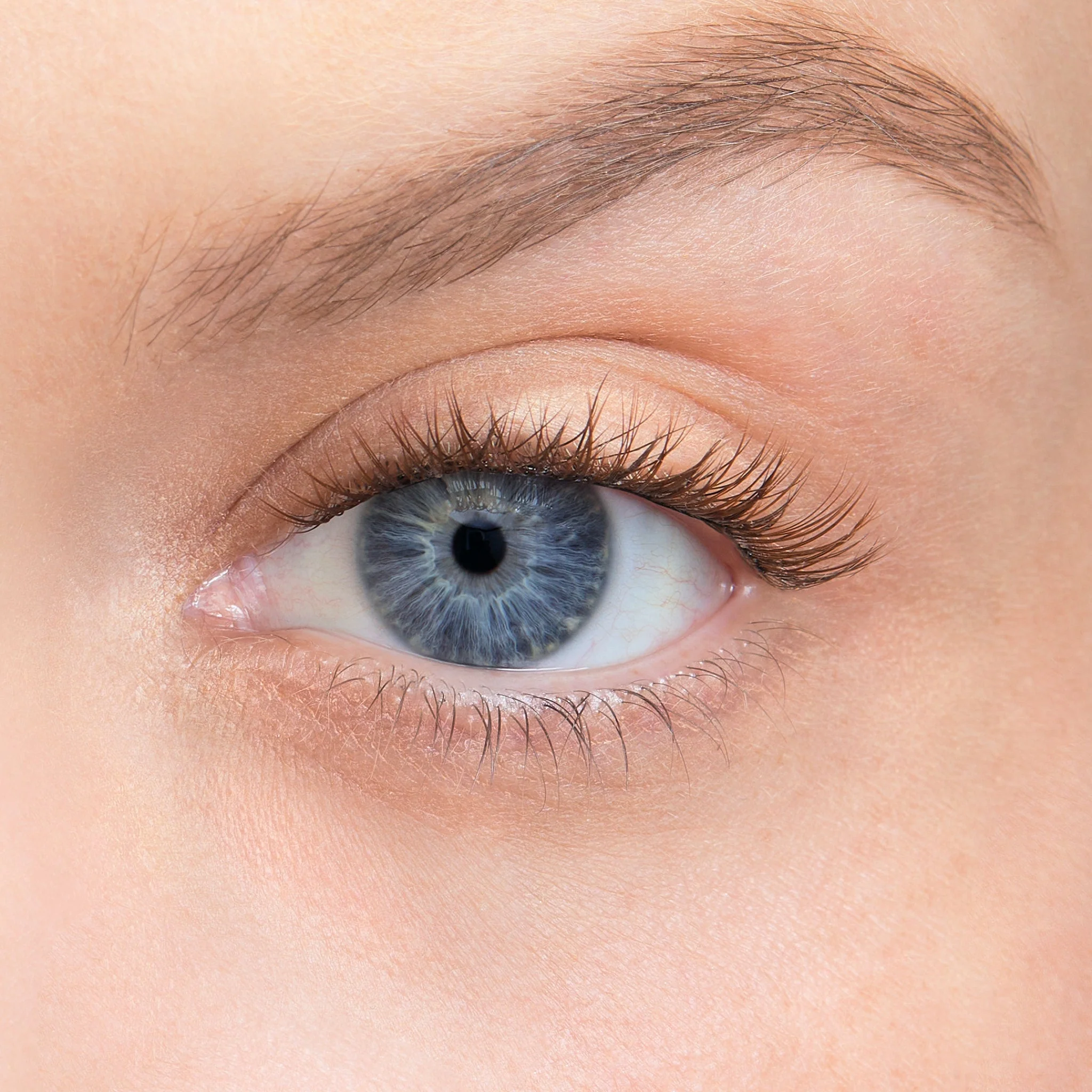 Amplify Core Gossamer® Lash - Image 85