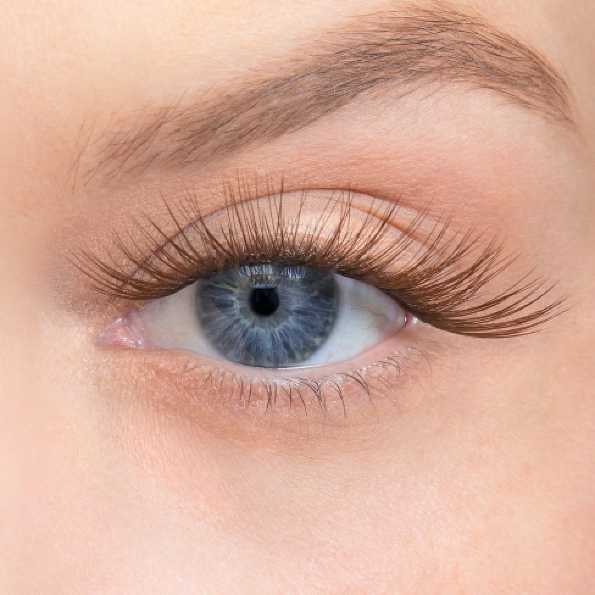 Amplify Core Gossamer® Lash - Image 86