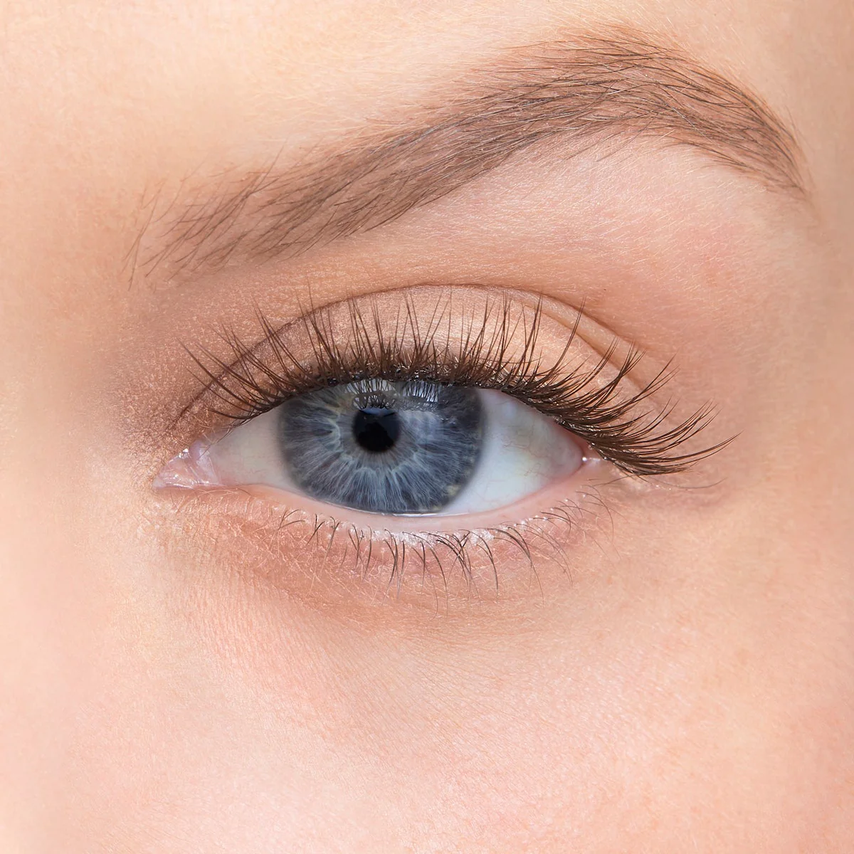 Amplify Core Gossamer® Lash - Image 91