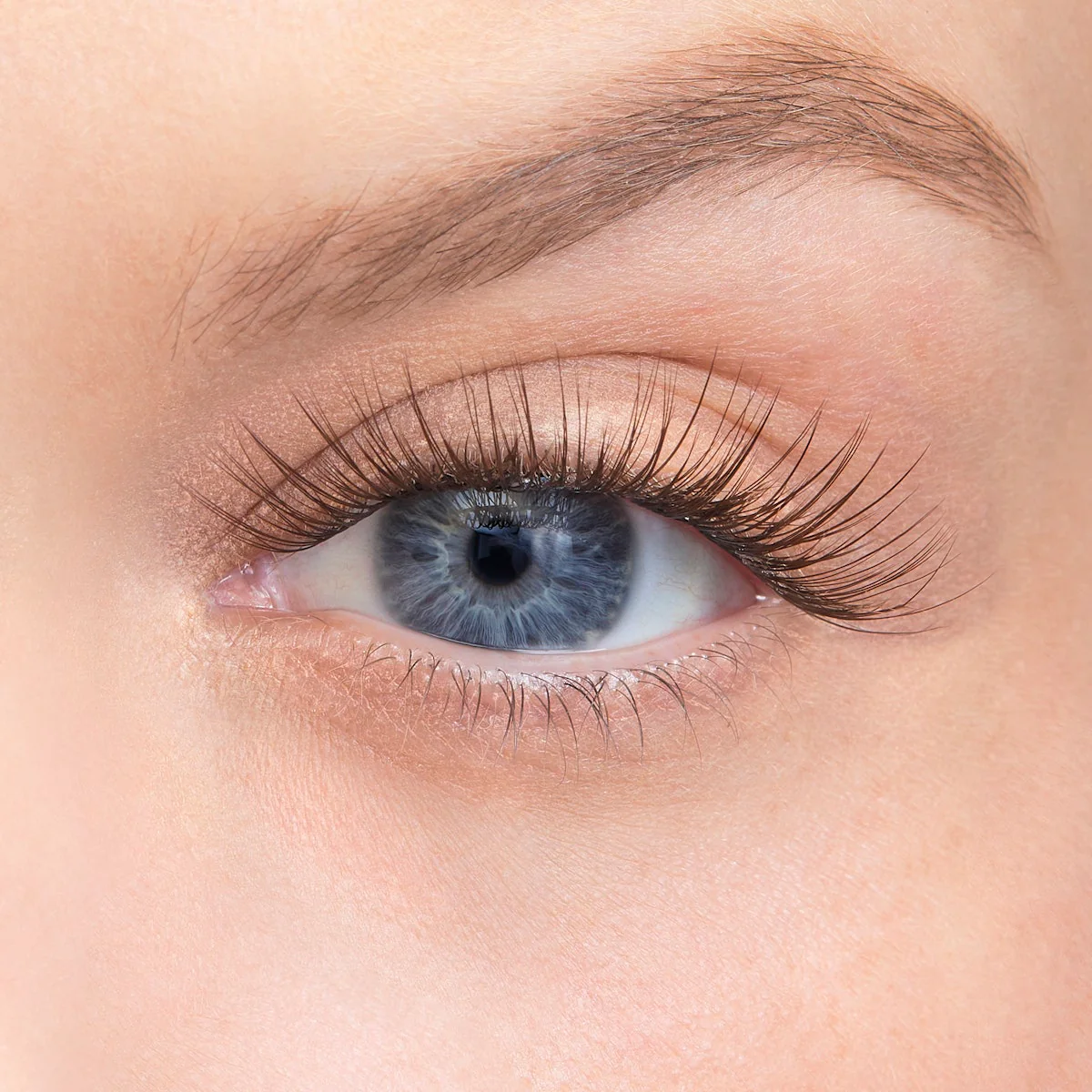 Amplify Core Gossamer® Lash - Image 92