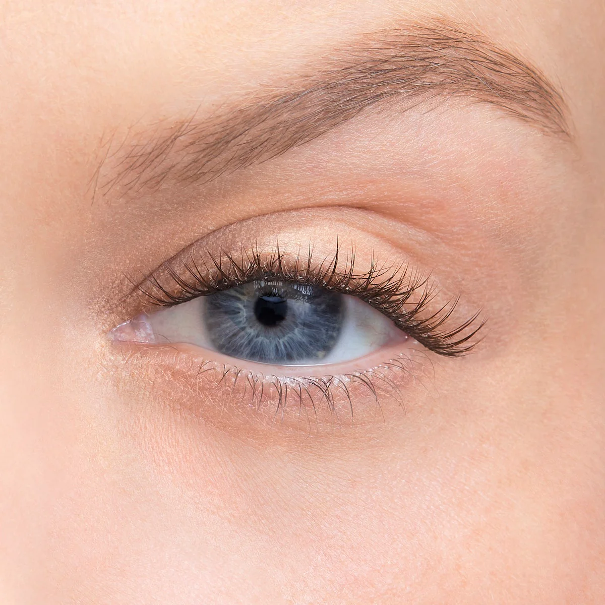 Amplify Core Gossamer® Lash - Image 93