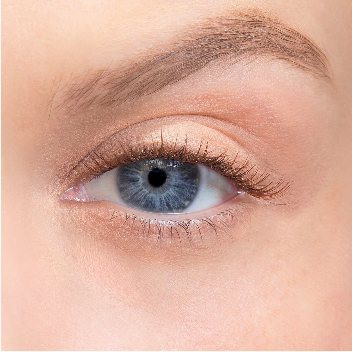Amplify Core Gossamer® Lash - Image 94