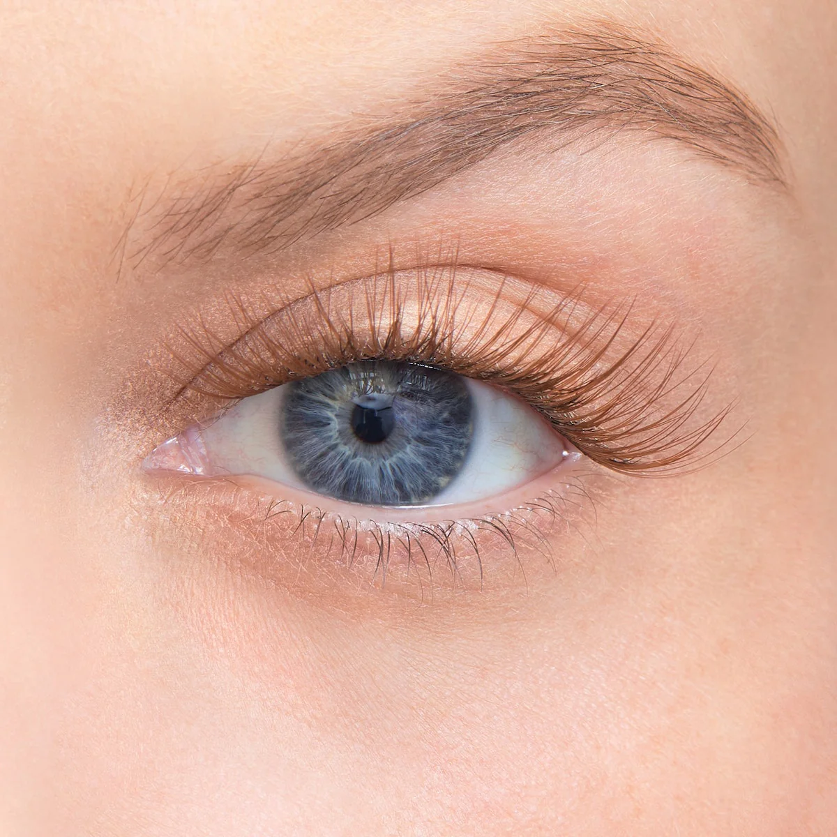 Amplify Core Gossamer® Lash - Image 96