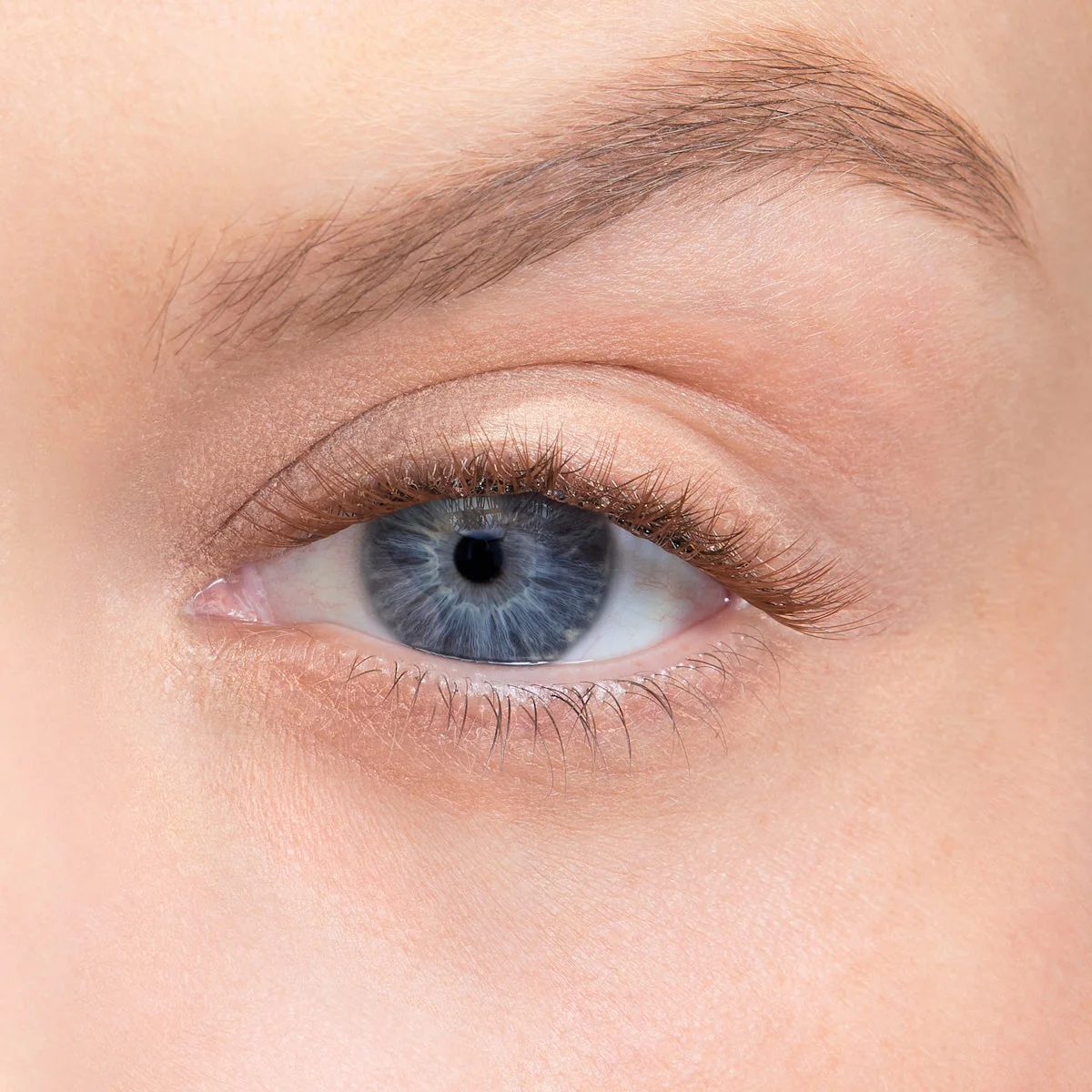 Amplify Core Gossamer® Lash - Image 97