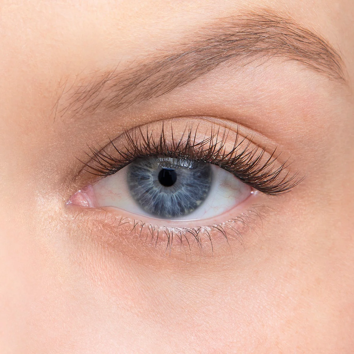 Amplify Core Gossamer® Lash - Image 98