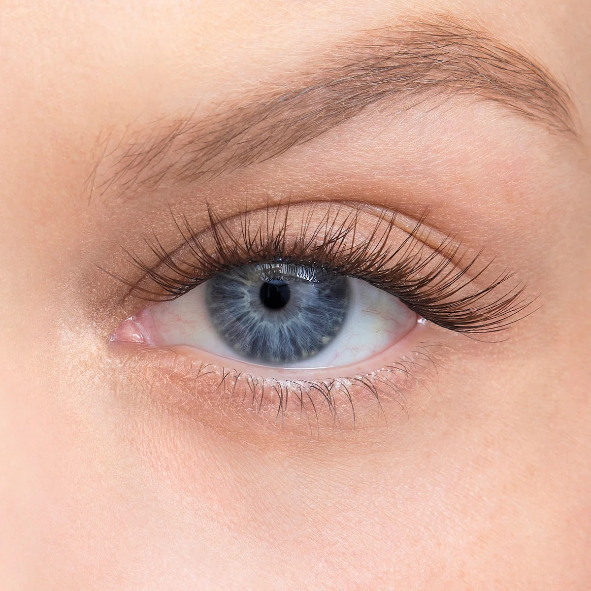 Amplify Core Gossamer® Lash - Image 99
