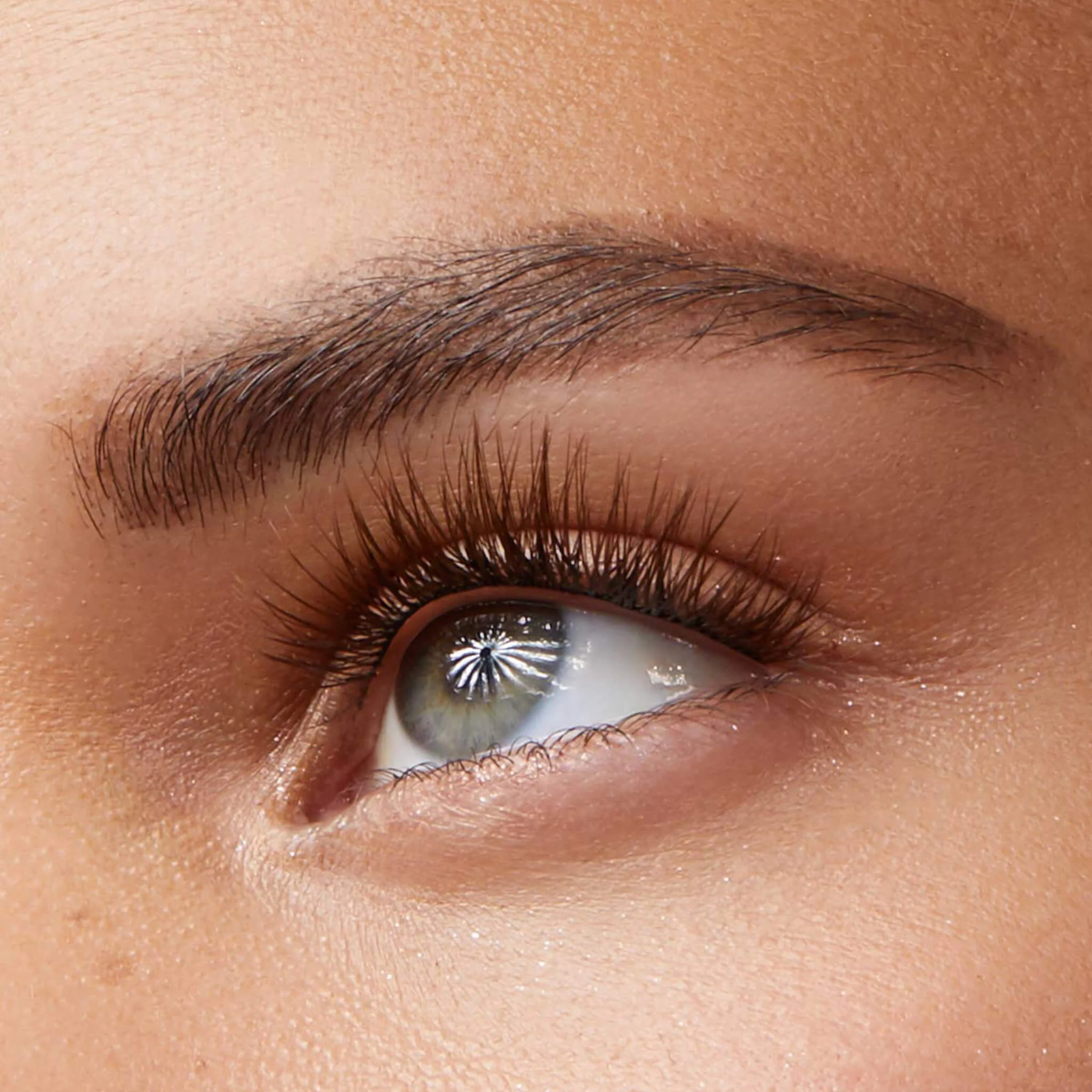 Amplify Core Gossamer® Lash - Image 72