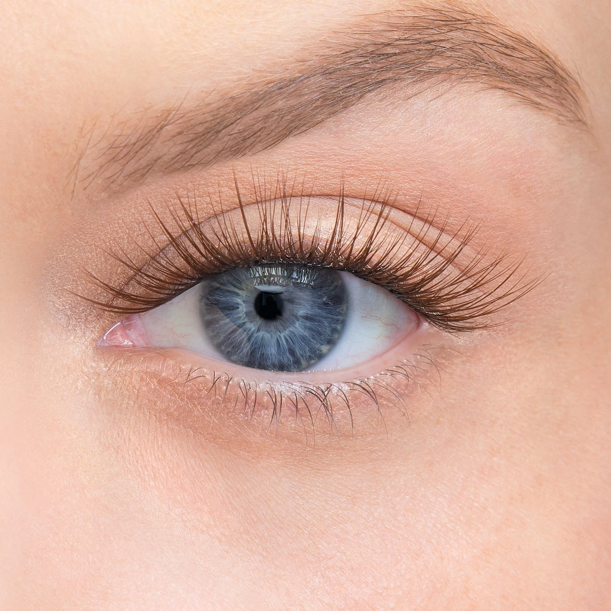 Amplify Core Gossamer® Lash - Image 87