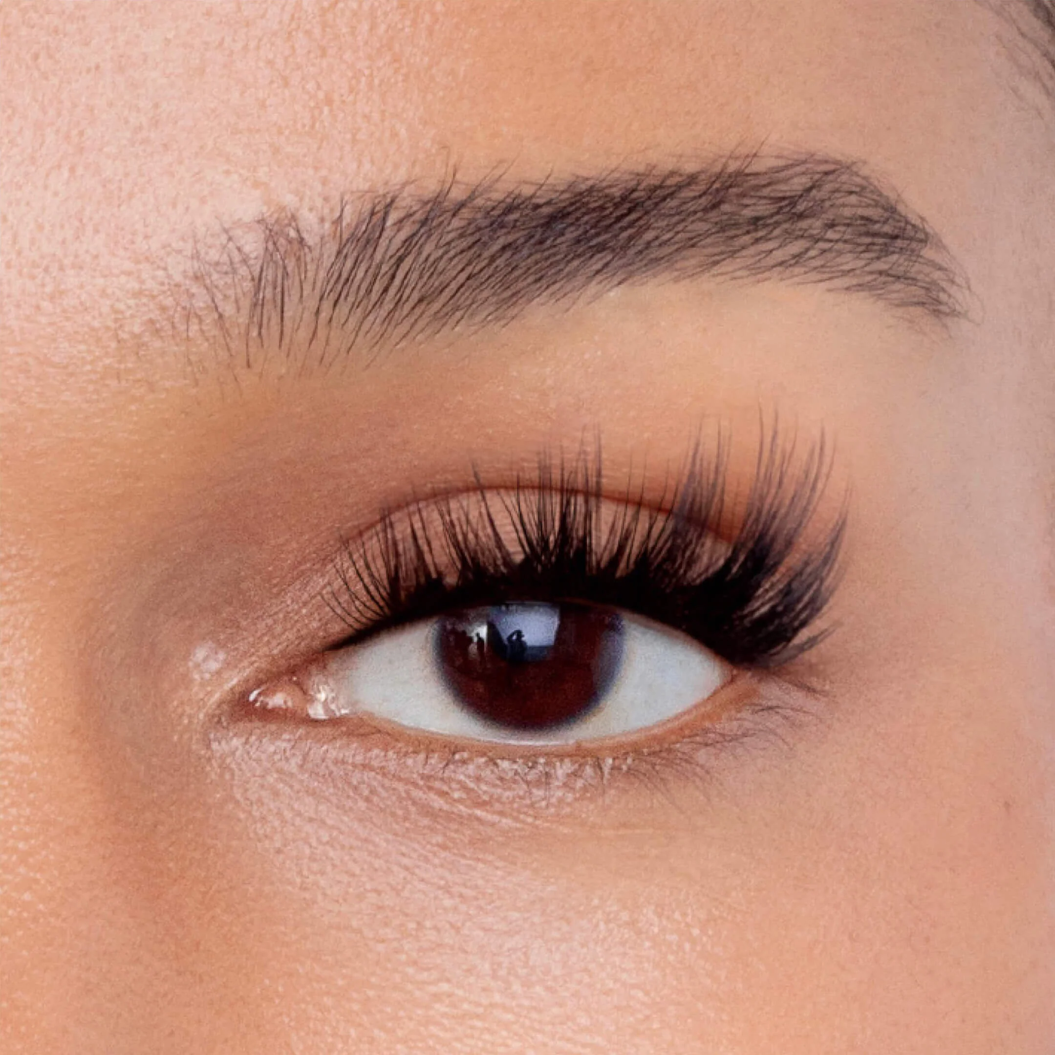 FFS Gossamer® Lash - Image 22