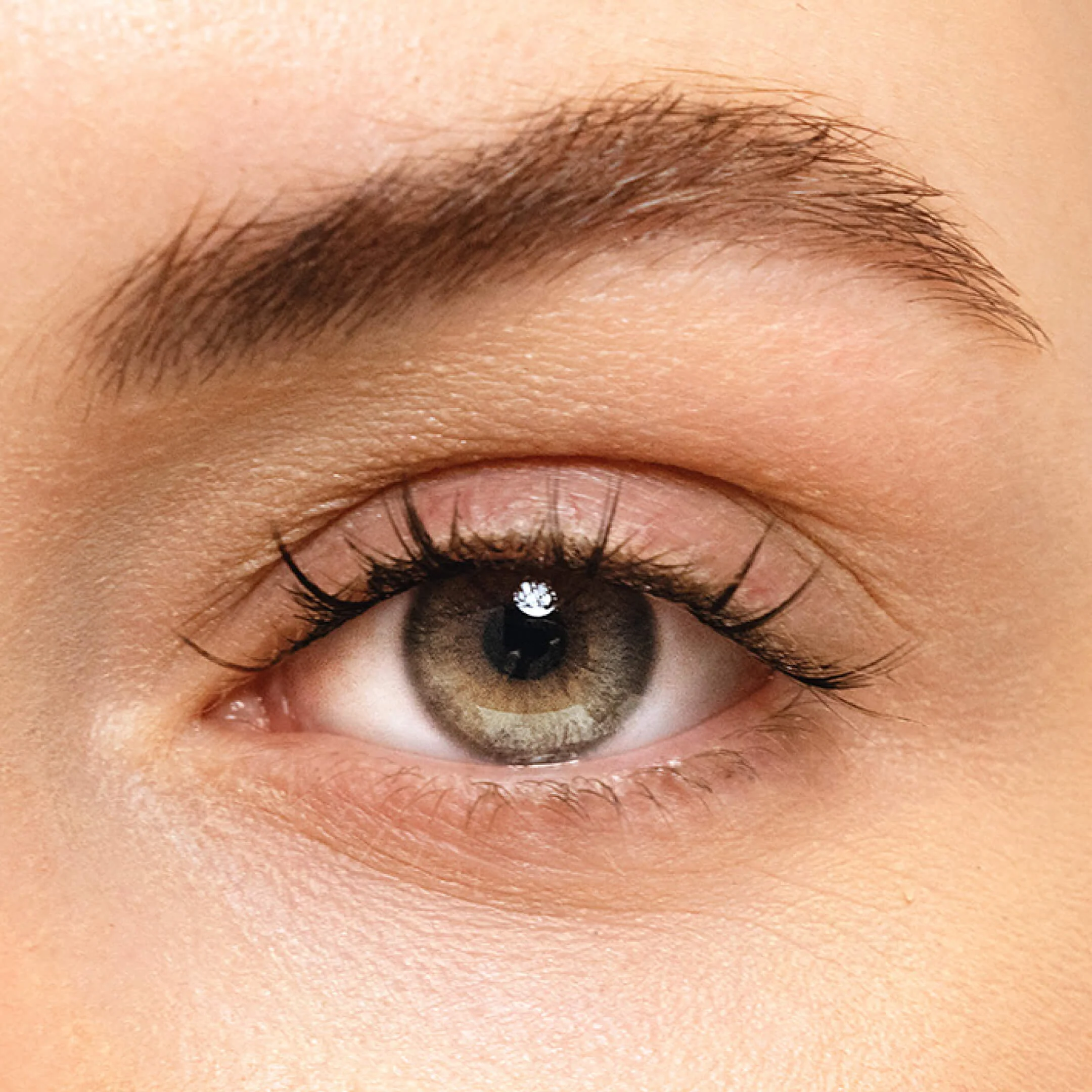 Fishnet Gossamer® lash - Image 3
