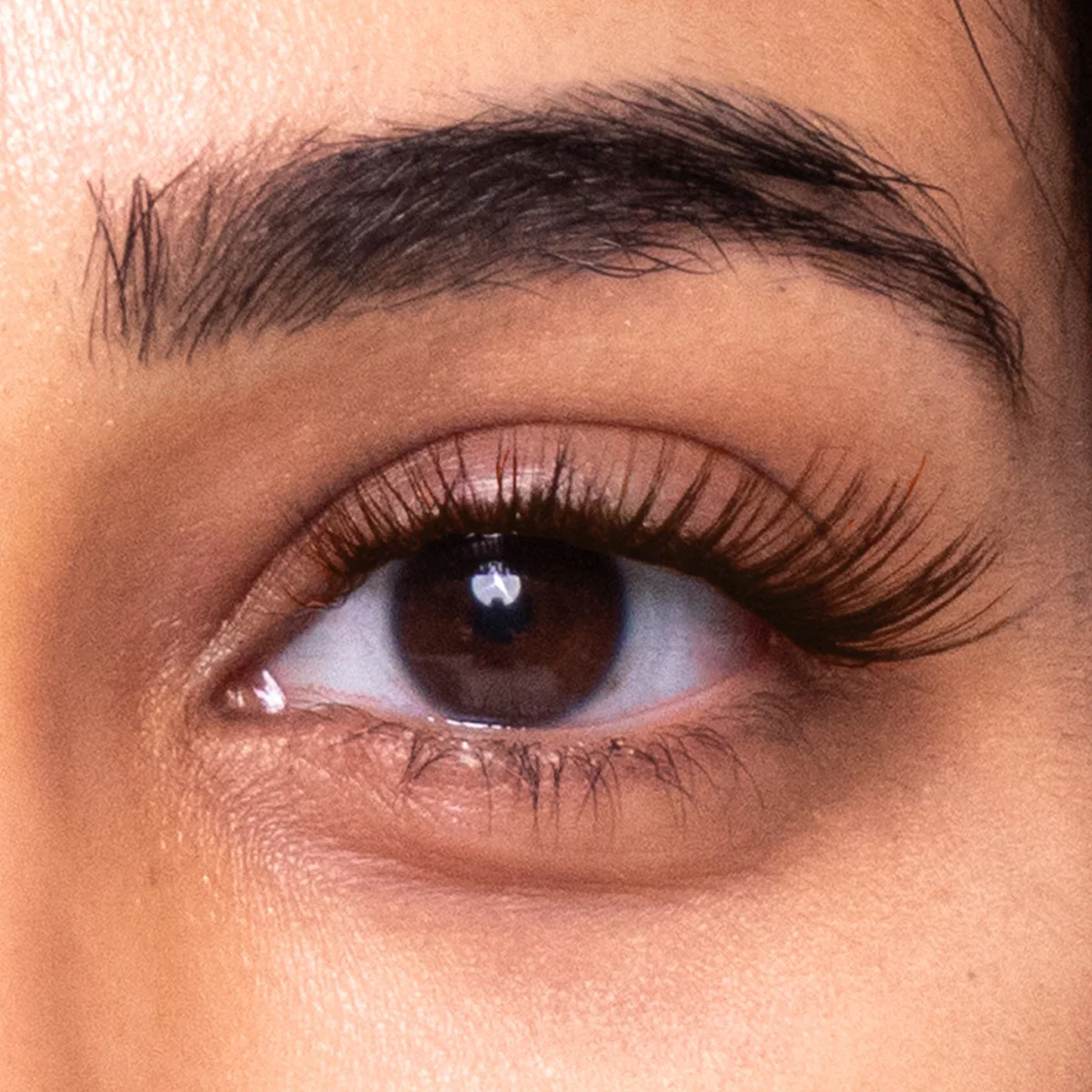 Fluffy® Lite Gossamer® Lash - Image 25