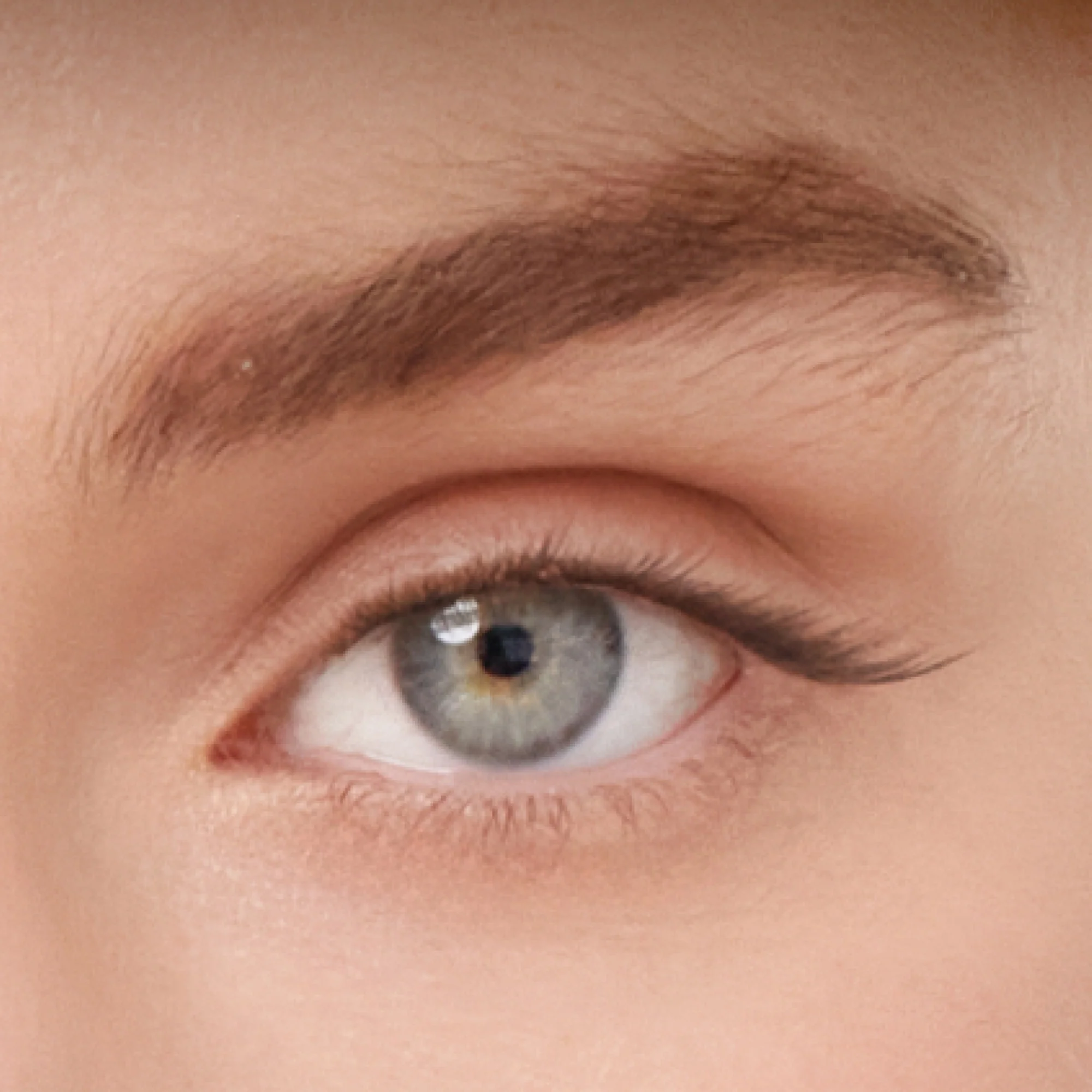 I-Line™ Gossamer® Lash - Image 13
