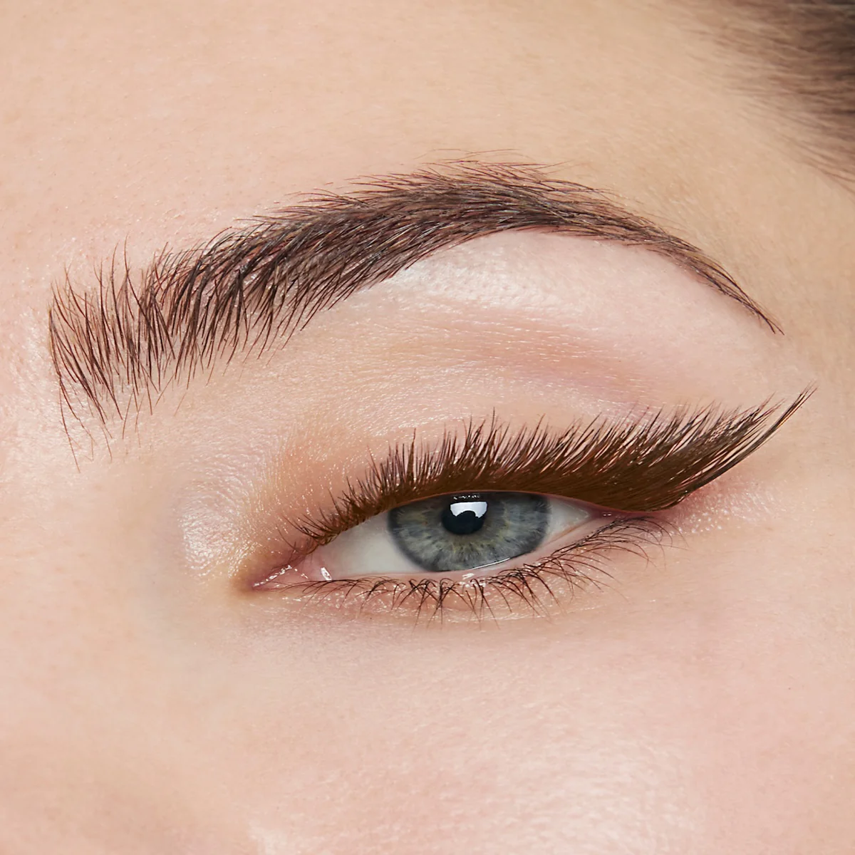Isamaya x Lashify Edge Gossamer® Lash - Image 11