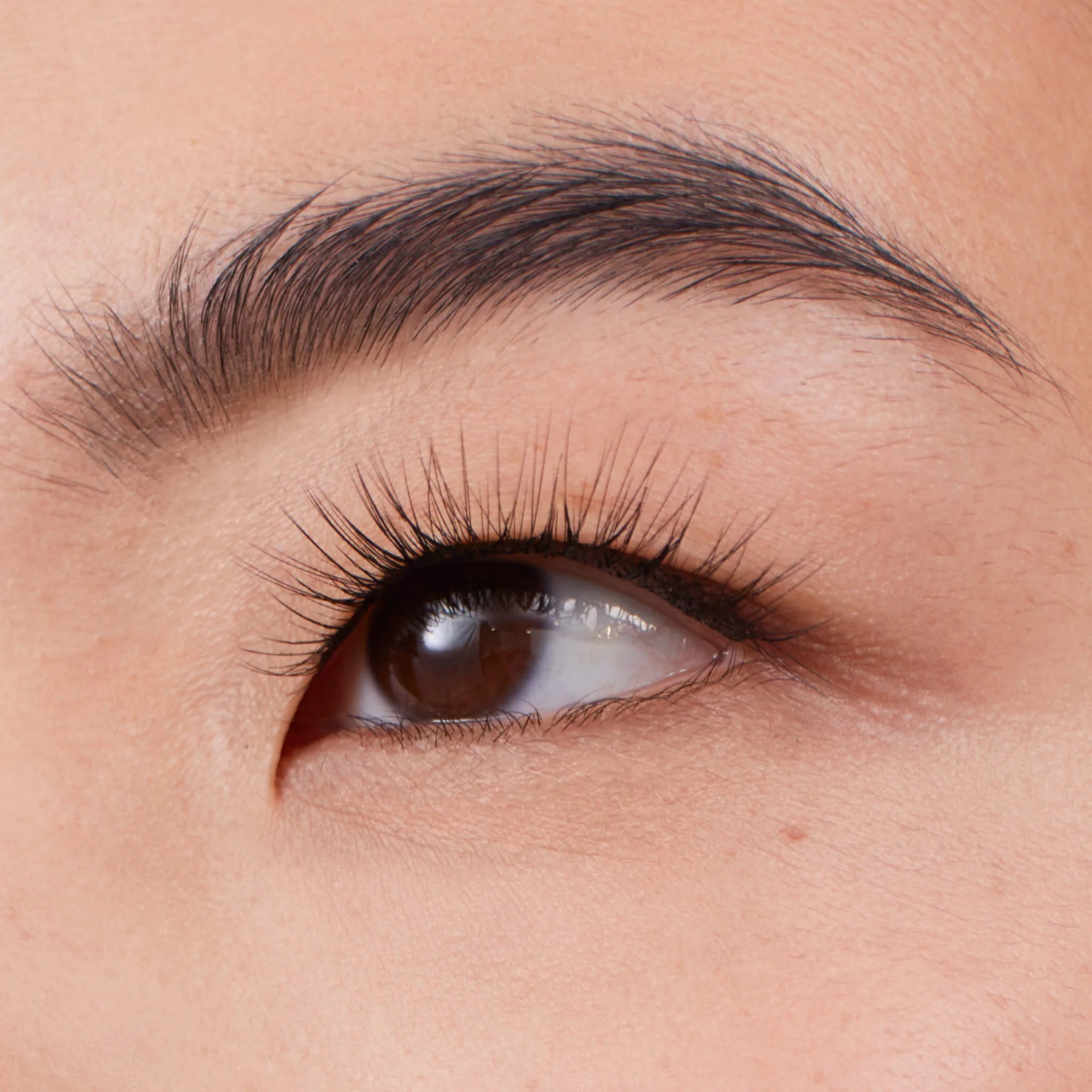 Plus+ Gossamer® Lash - Image 102