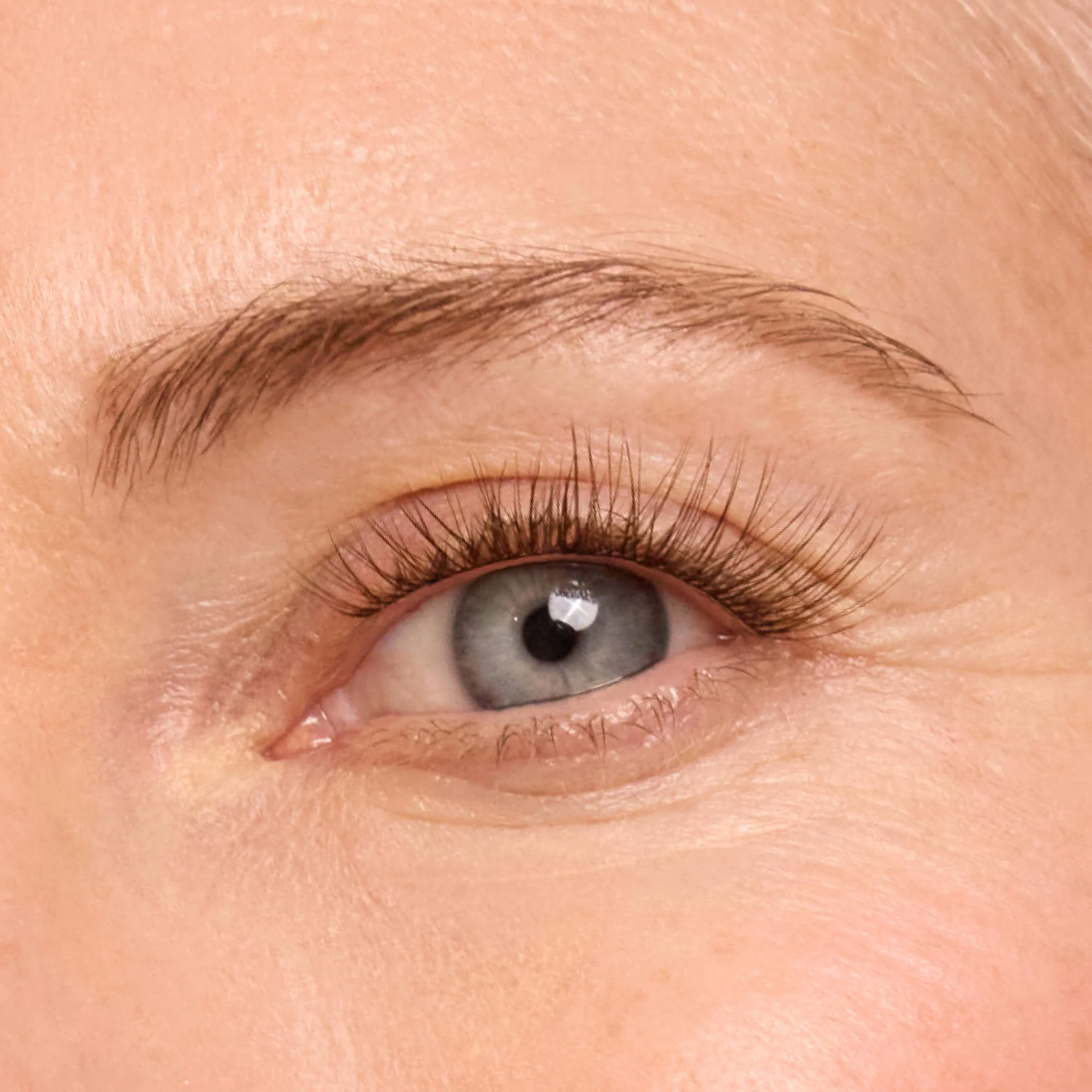 Plus+ Gossamer® Lash - Image 103