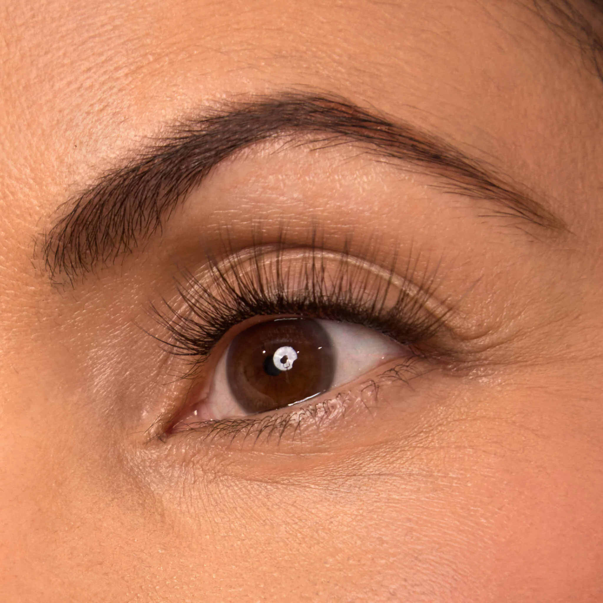 Plus+ Gossamer® Lash - Image 107