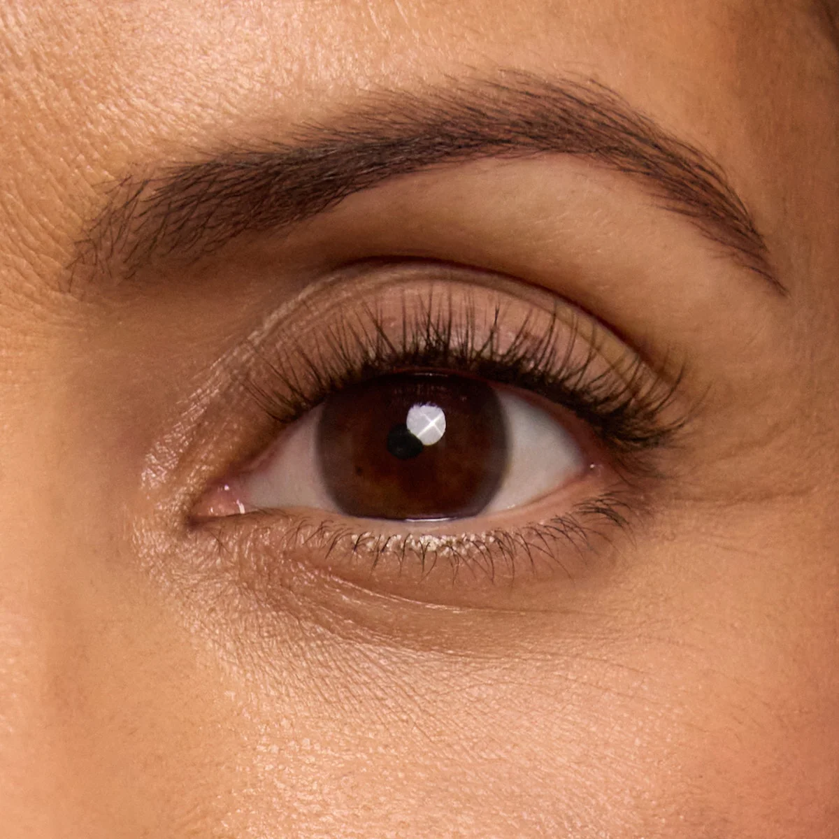 Plus+ Gossamer® Lash - Image 134