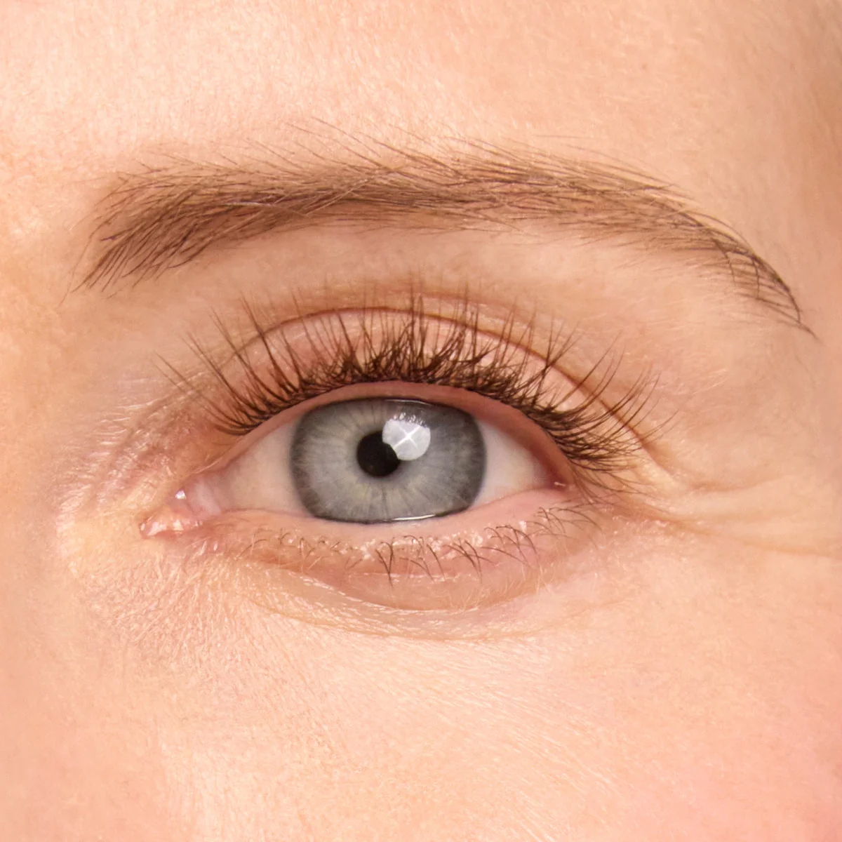 Plus+ Gossamer® Lash - Image 138