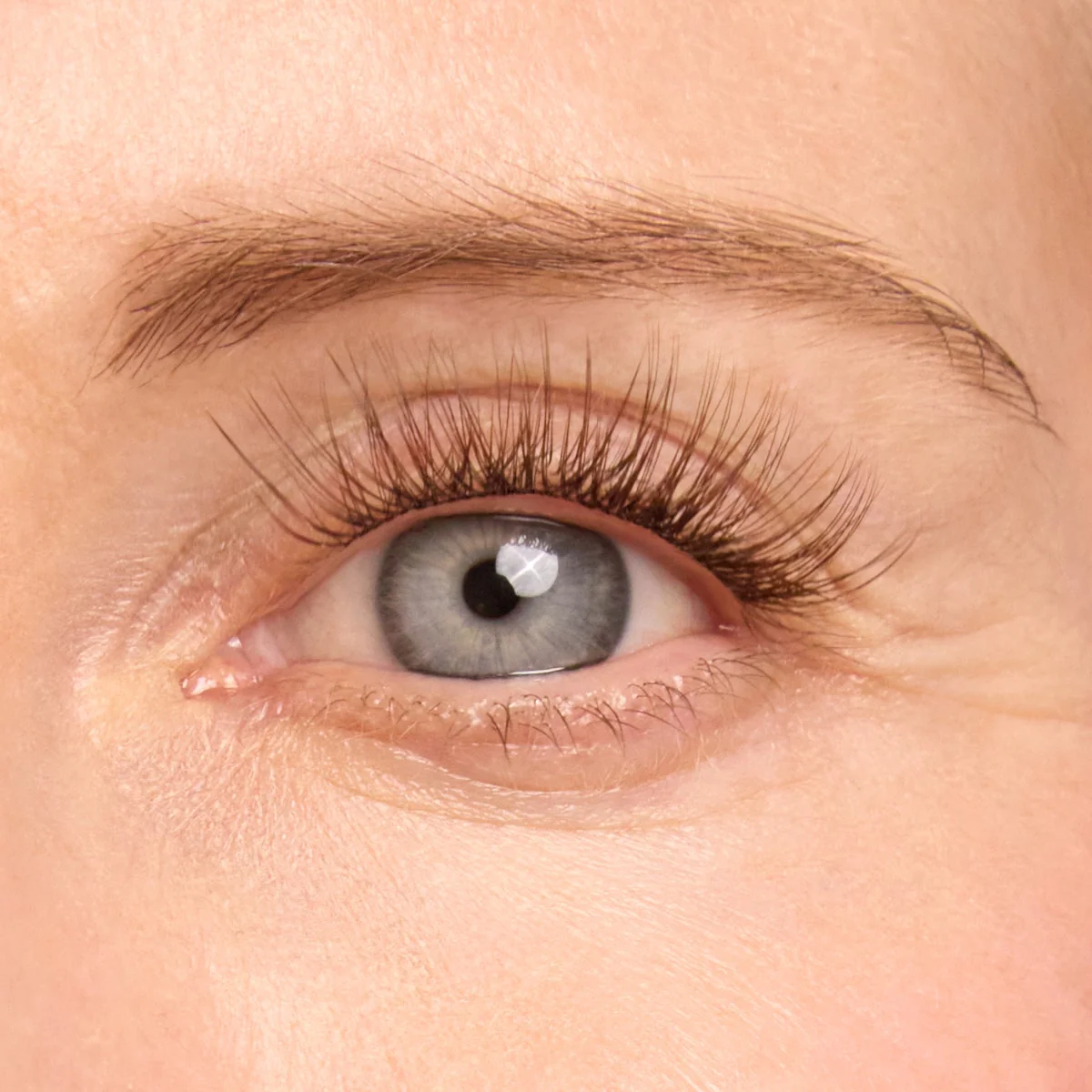 Plus+ Gossamer® Lash - Image 139