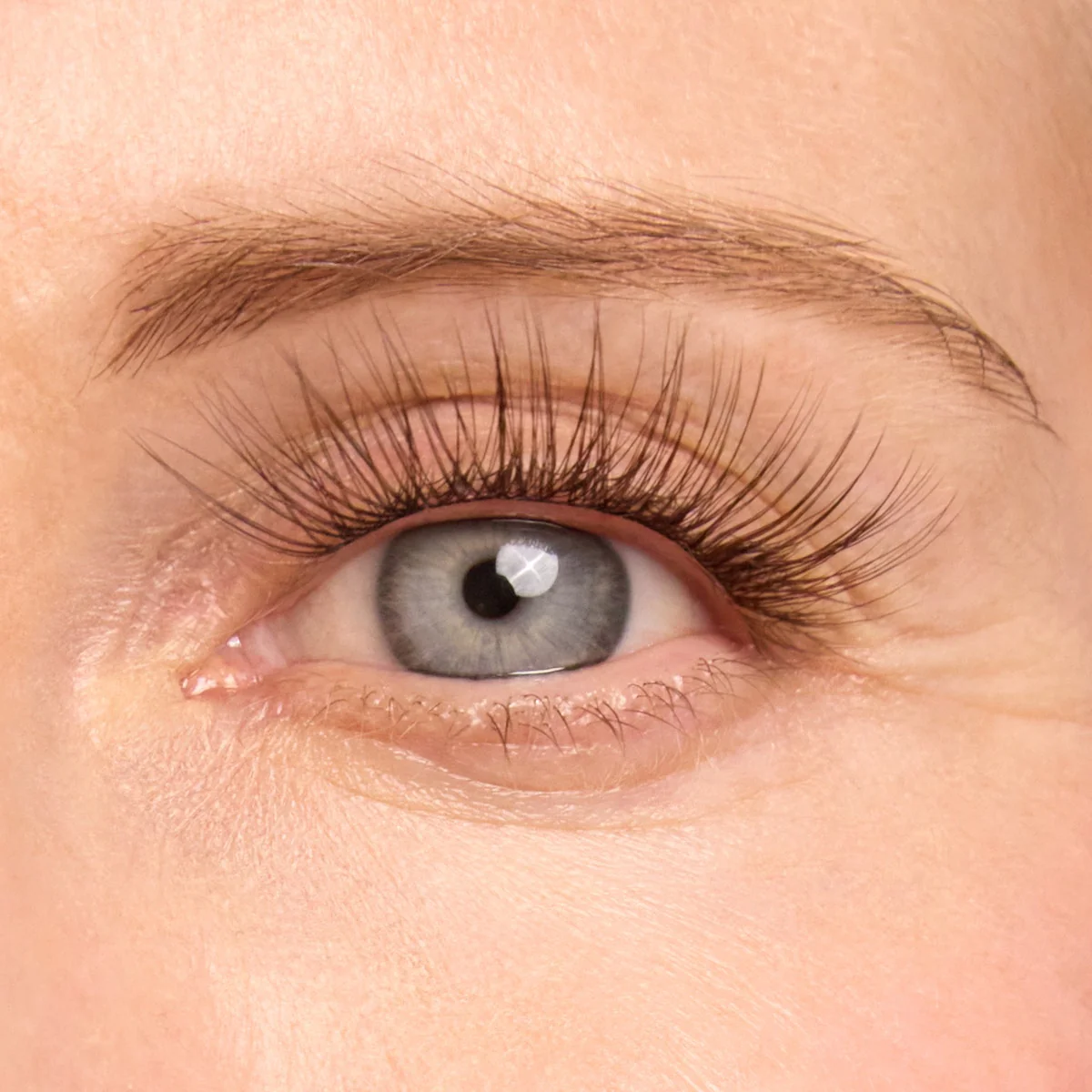 Plus+ Gossamer® Lash - Image 140