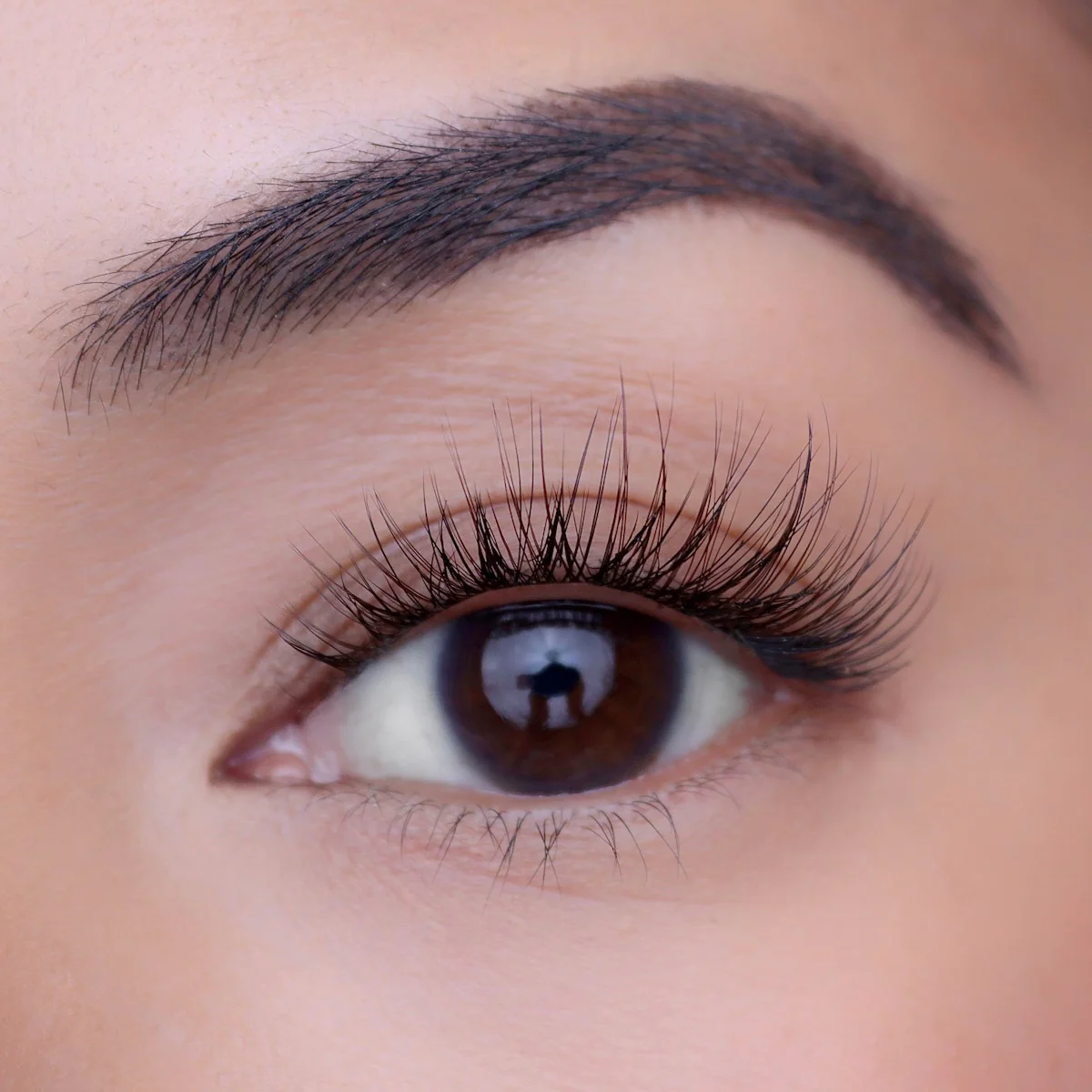Plus+ Gossamer® Lash - Image 144