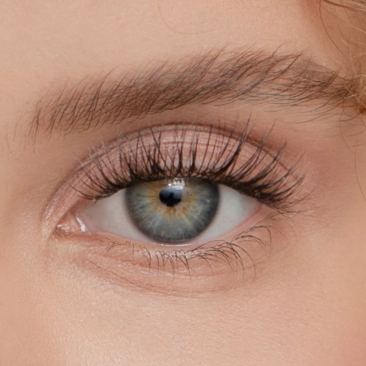 Plus+ Gossamer® Lash - Image 145