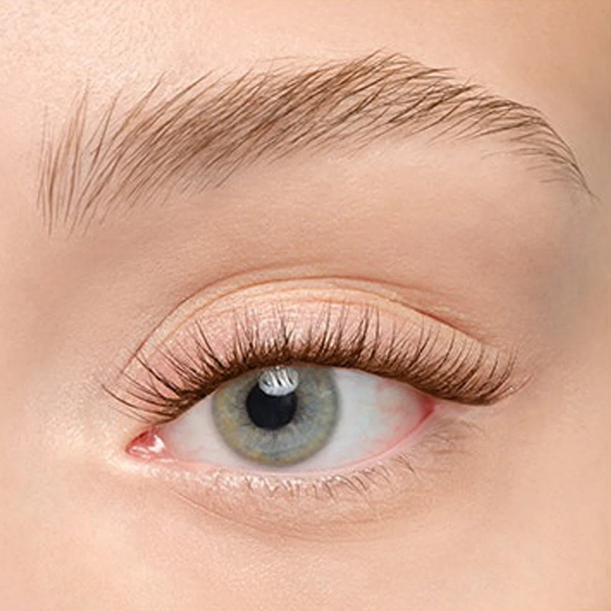 Plushy Gossamer® Lash - Image 181
