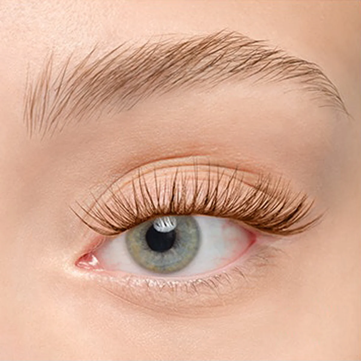 Plushy Gossamer® Lash - Image 184