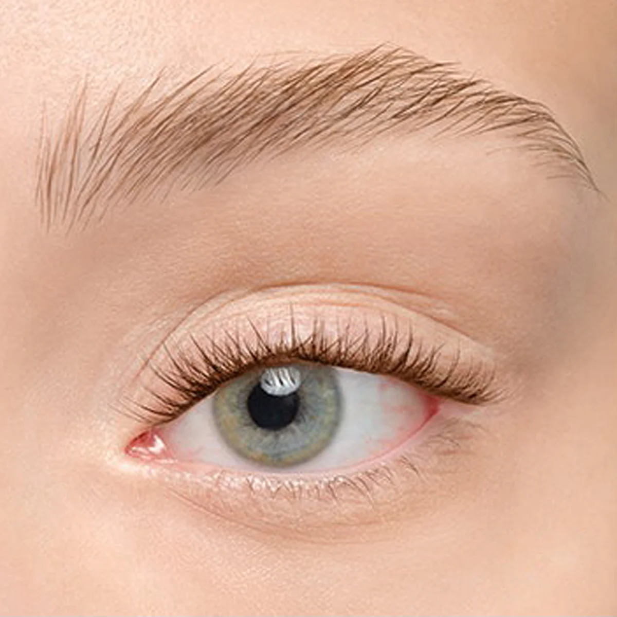 Plushy Gossamer® Lash - Image 189
