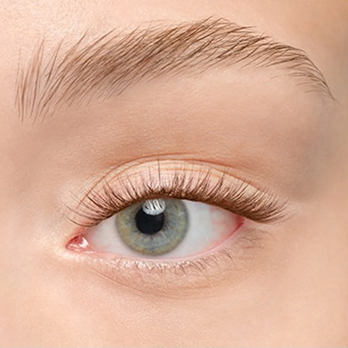 Plushy Gossamer® Lash - Image 192