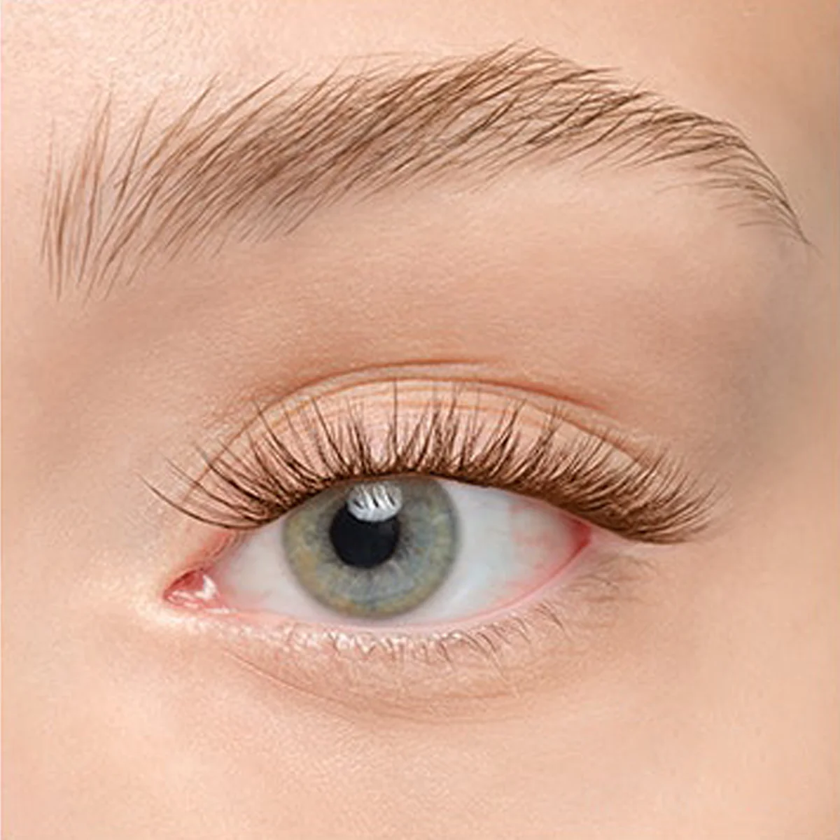 Plushy Gossamer® Lash - Image 193