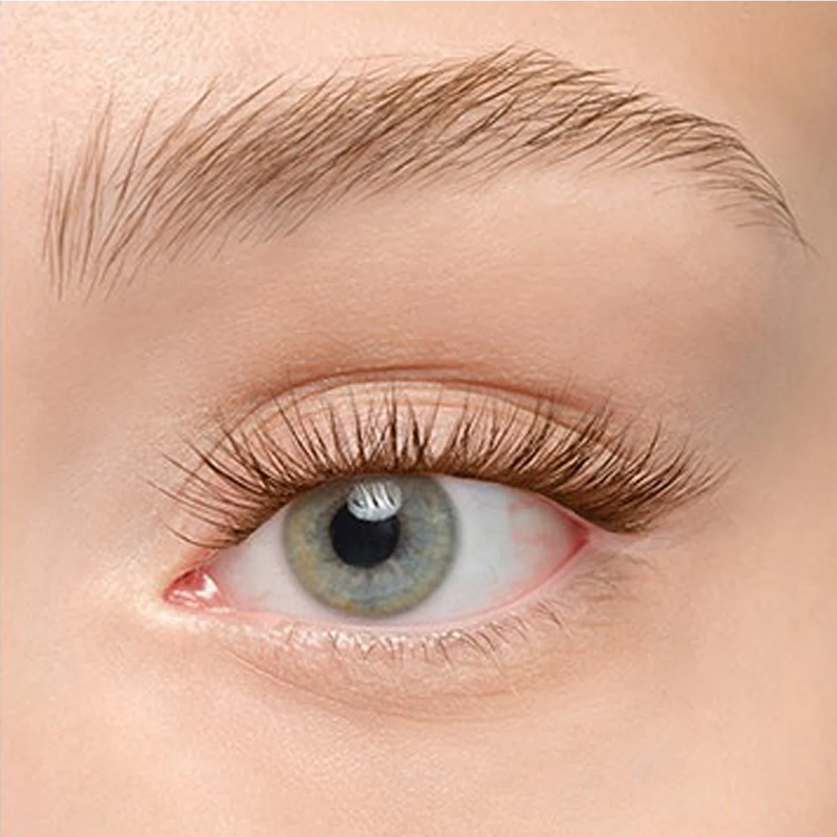 Plushy Gossamer® Lash - Image 194