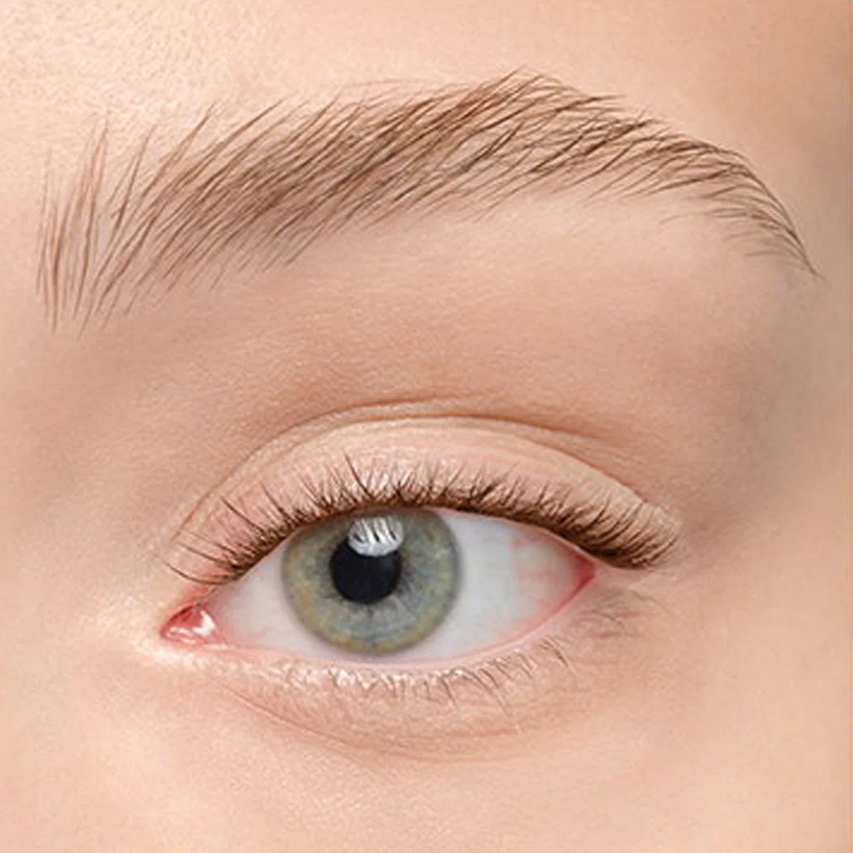 Plushy Gossamer® Lash - Image 200