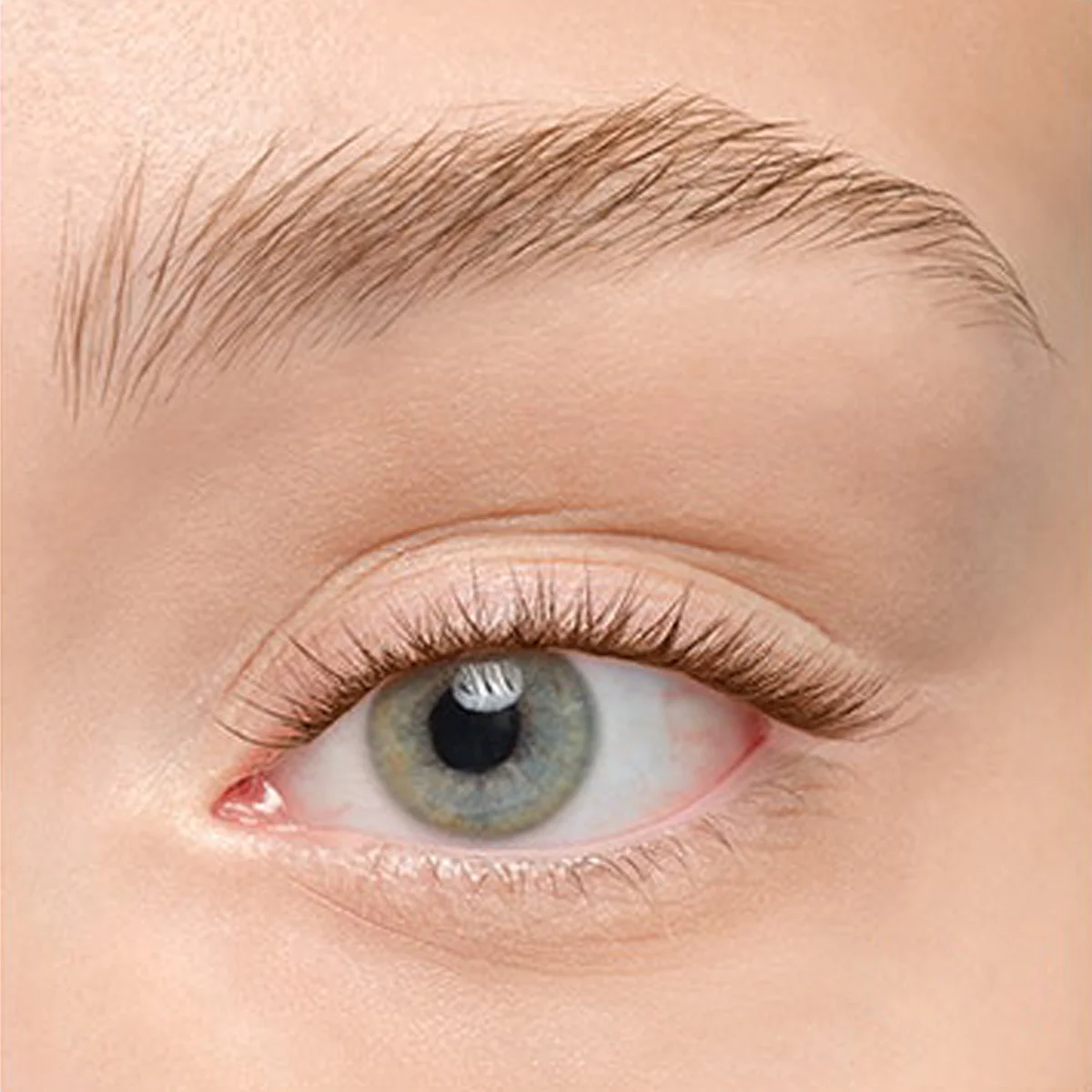 Plushy Gossamer® Lash - Image 201