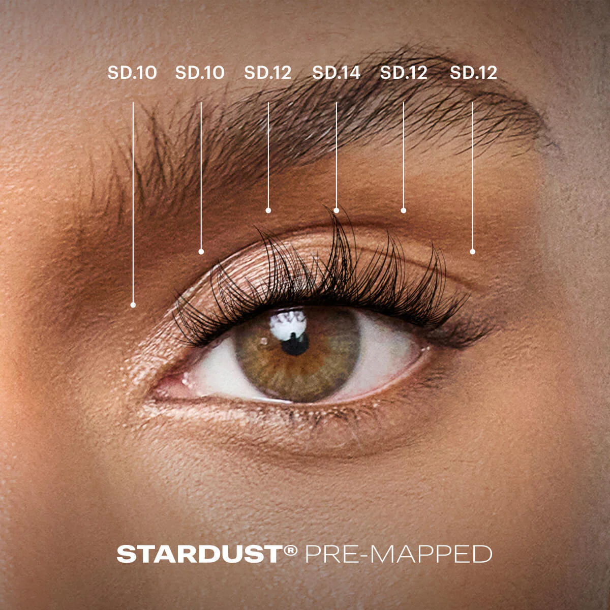 Pre-Mapped Gossamer® Lash - Image 30