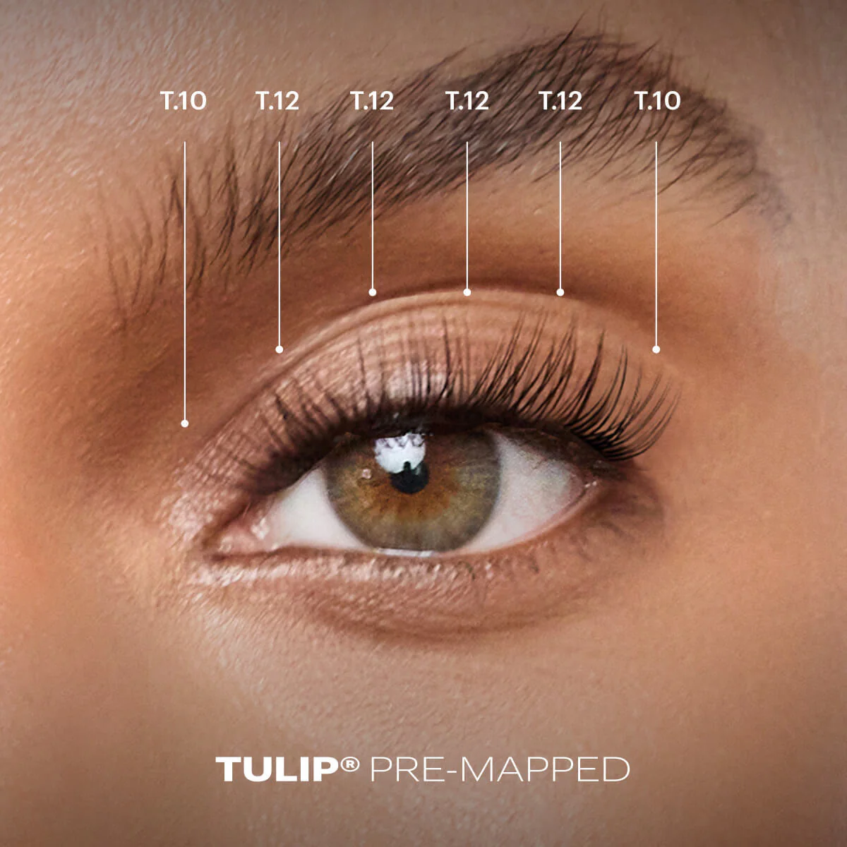Pre-Mapped Gossamer® Lash - Image 32