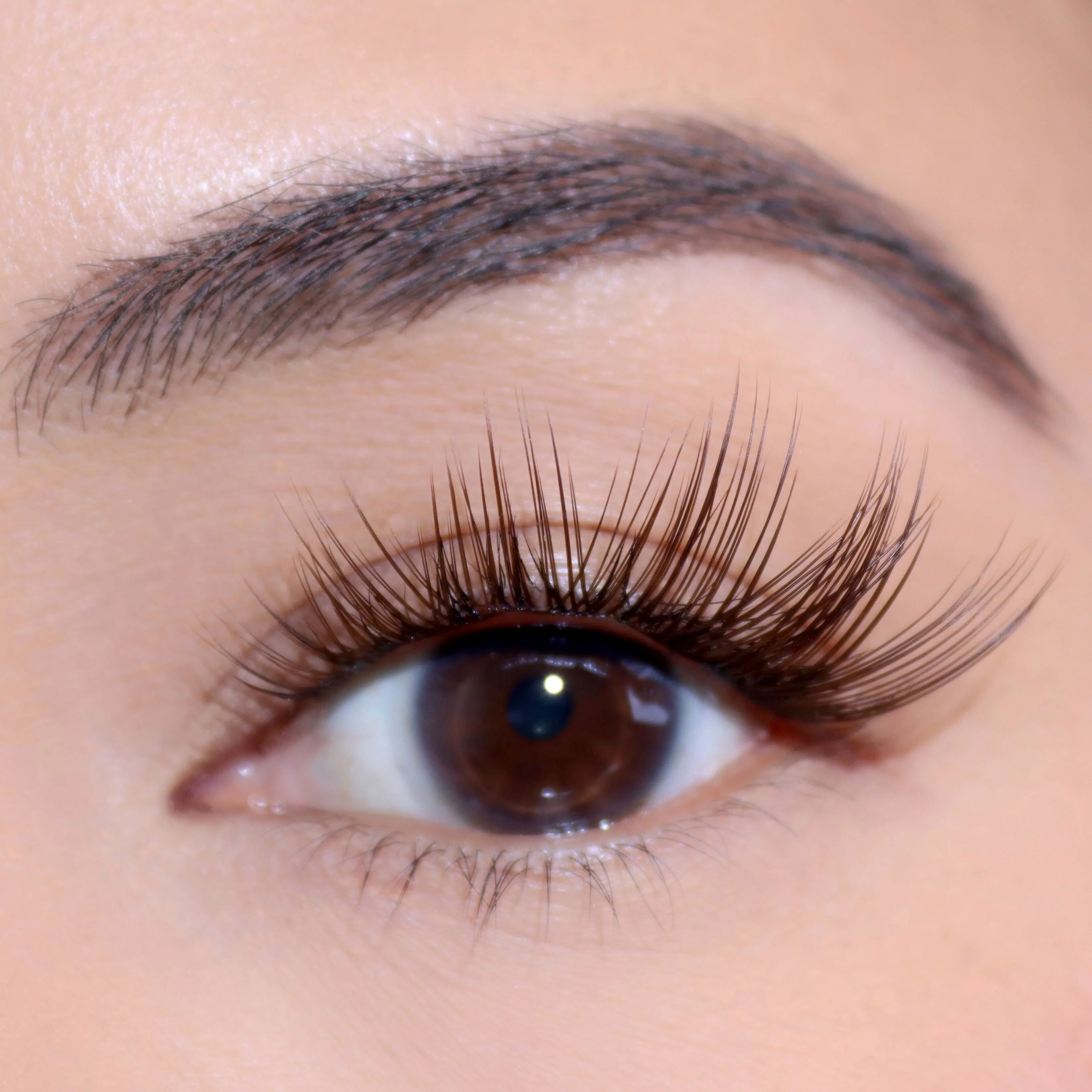 Tulip Gossamer® Lash - Image 100