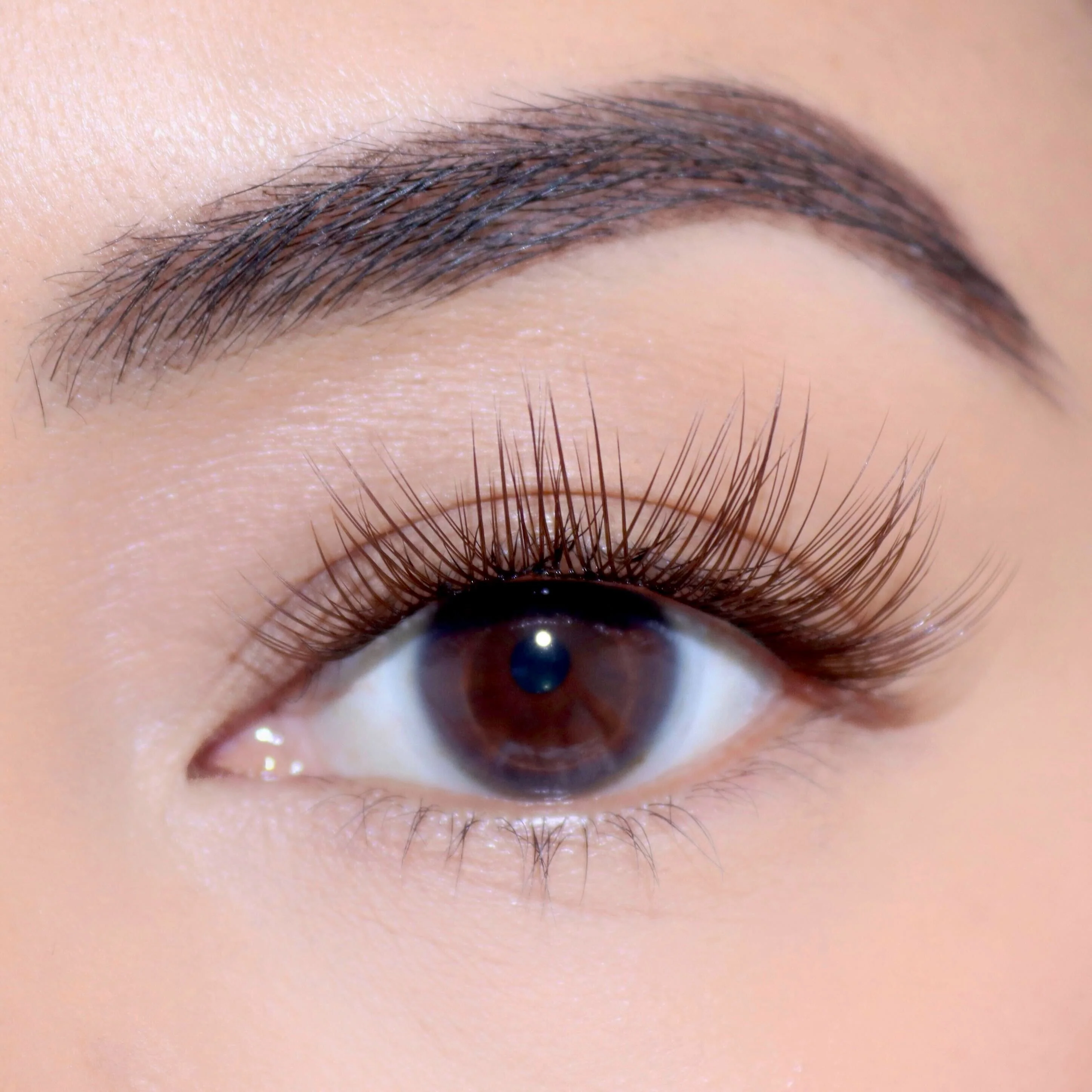Tulip Gossamer® Lash - Image 101