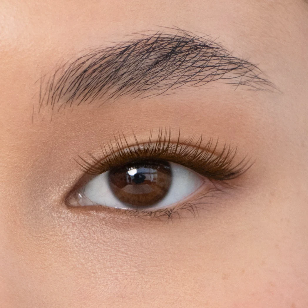 Tulip Gossamer® Lash - Image 59