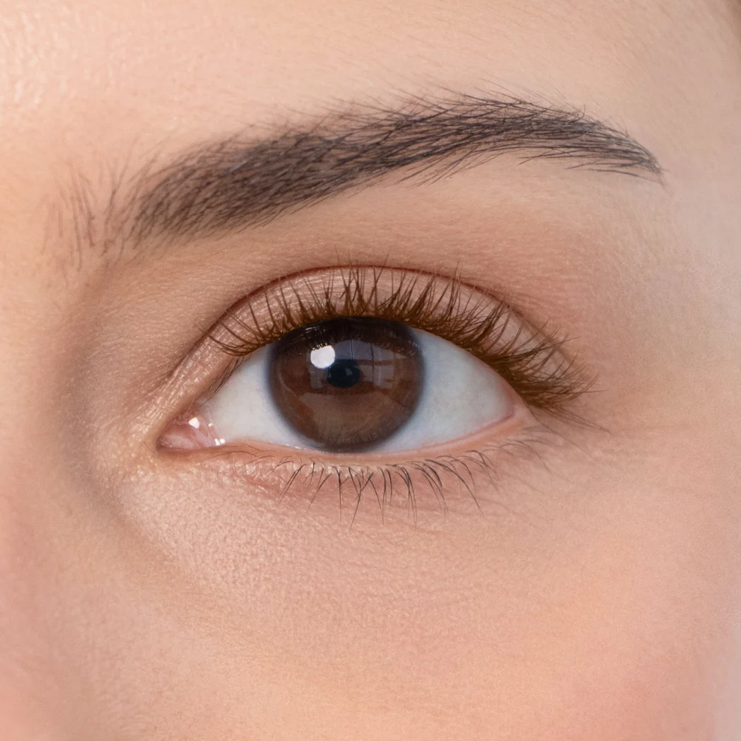 Tulip Gossamer® Lash - Image 63