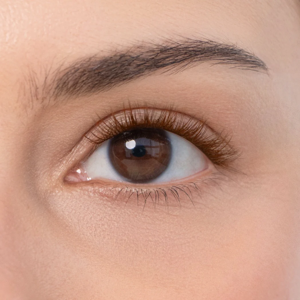 Tulip Gossamer® Lash - Image 64