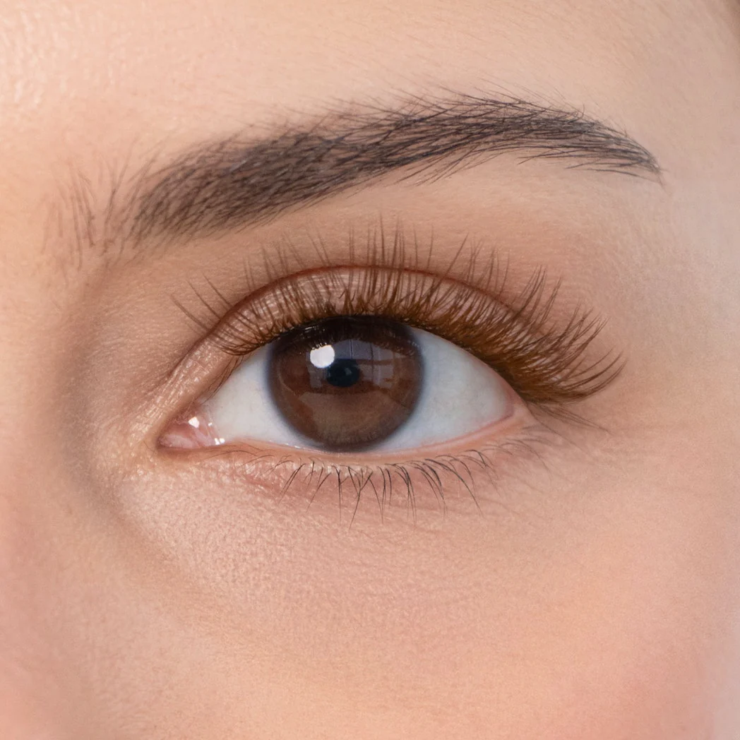 Tulip Gossamer® Lash - Image 65